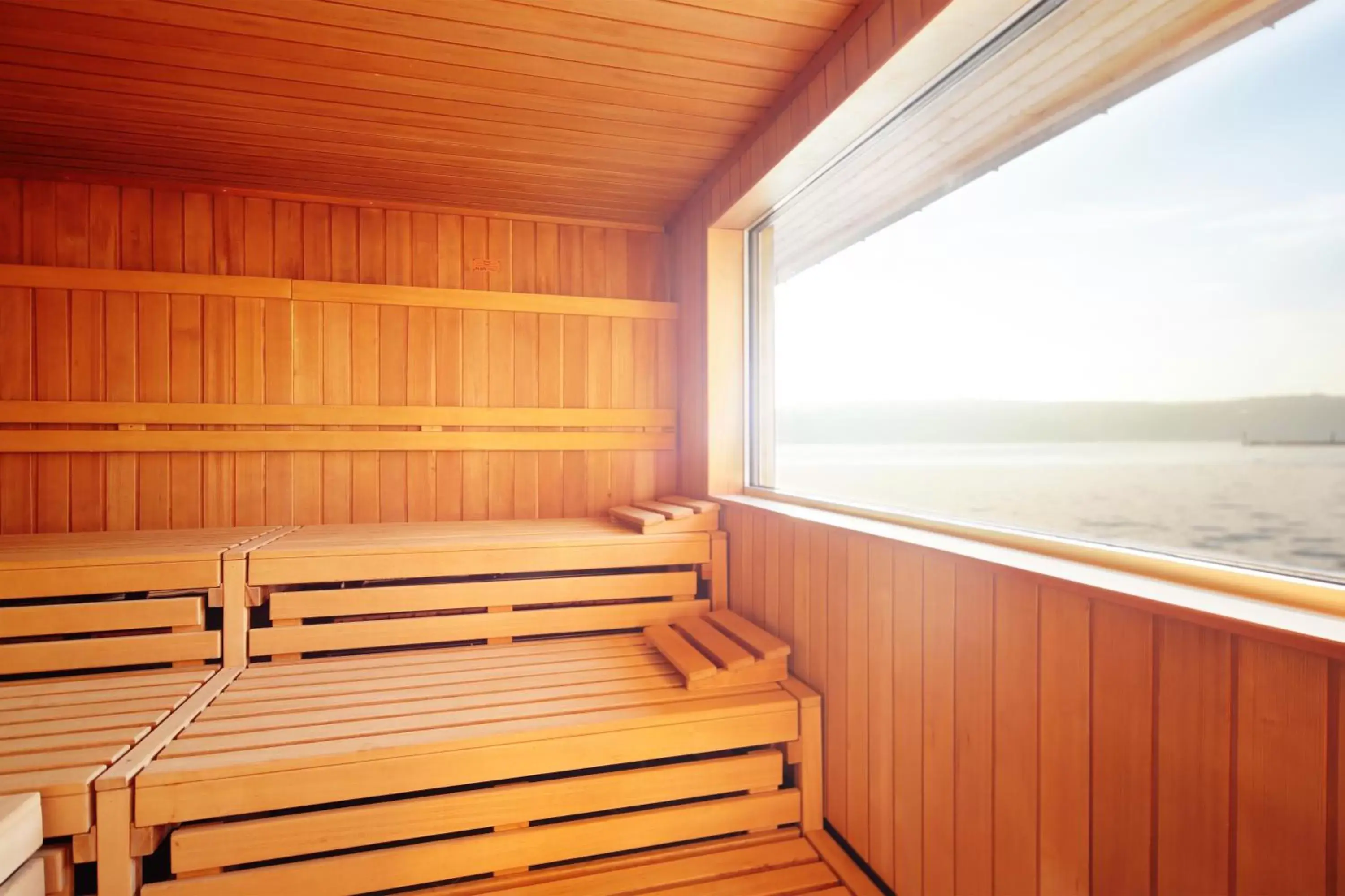 Sauna, Balcony/Terrace in INSELHOTEL Potsdam