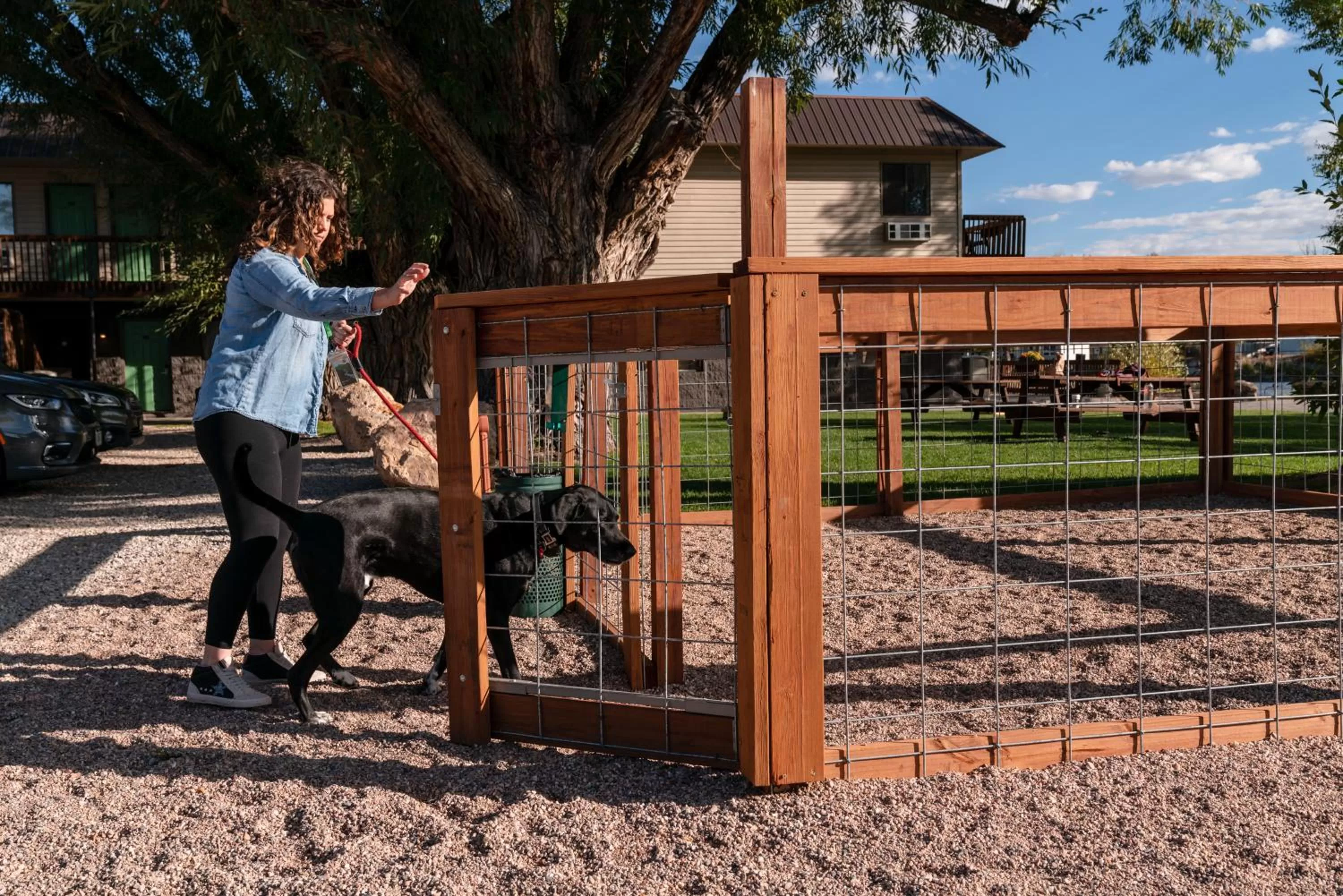Pets in Riviera Motor Lodge