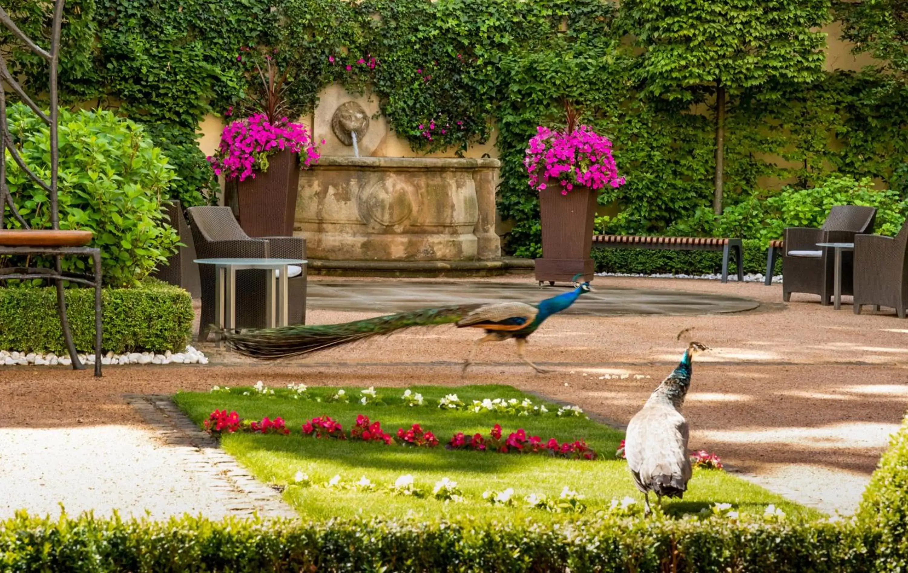 Garden in The Grand Mark Prague - The Leading Hotels of the World