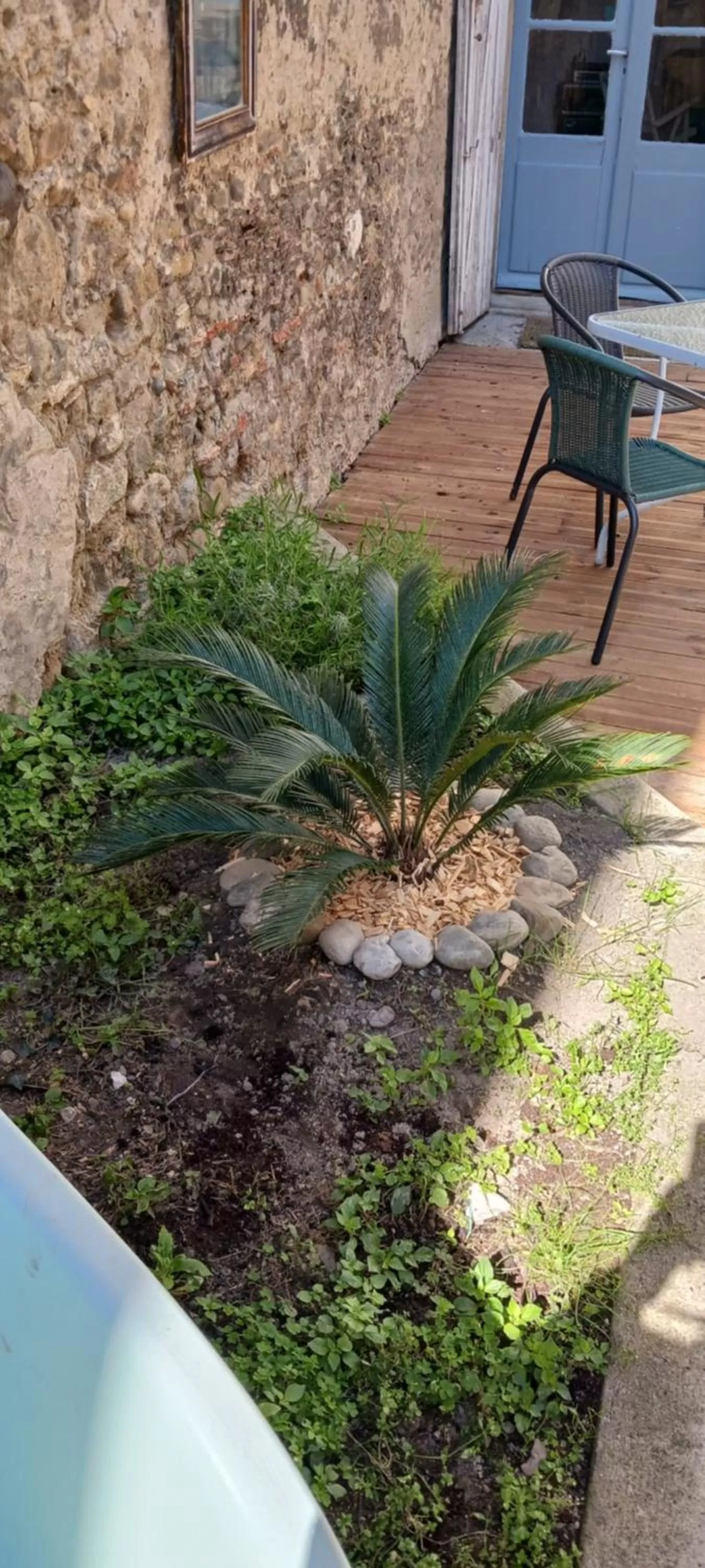 Le 9 de Cour, Chambre Chaco