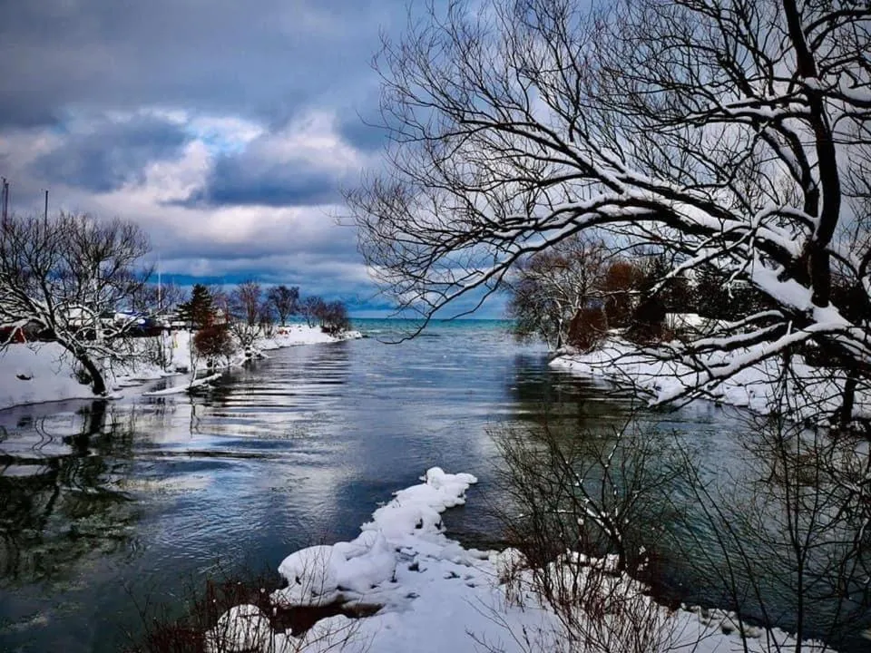 Nearby landmark in Royal Harbour Resort