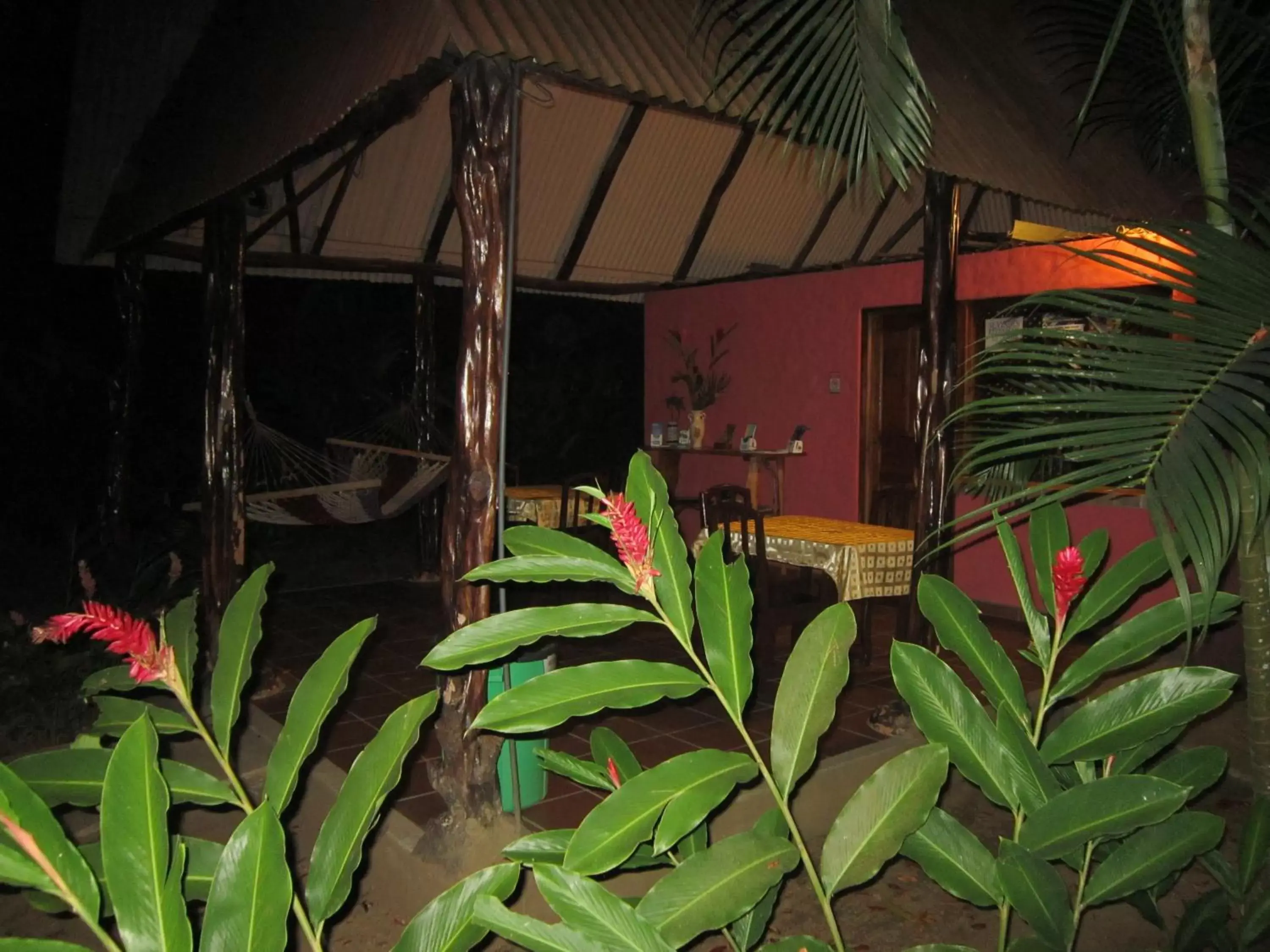 Communal lounge/ TV room, Patio/Outdoor Area in Hotel El Paraiso Escondido - Costa Rica