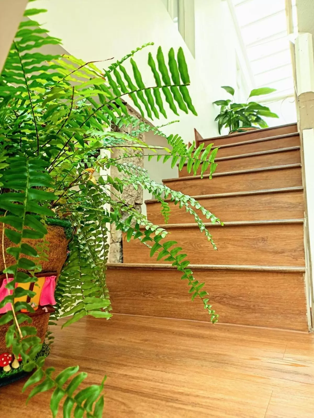 Property building in Hotel Maceo Chico