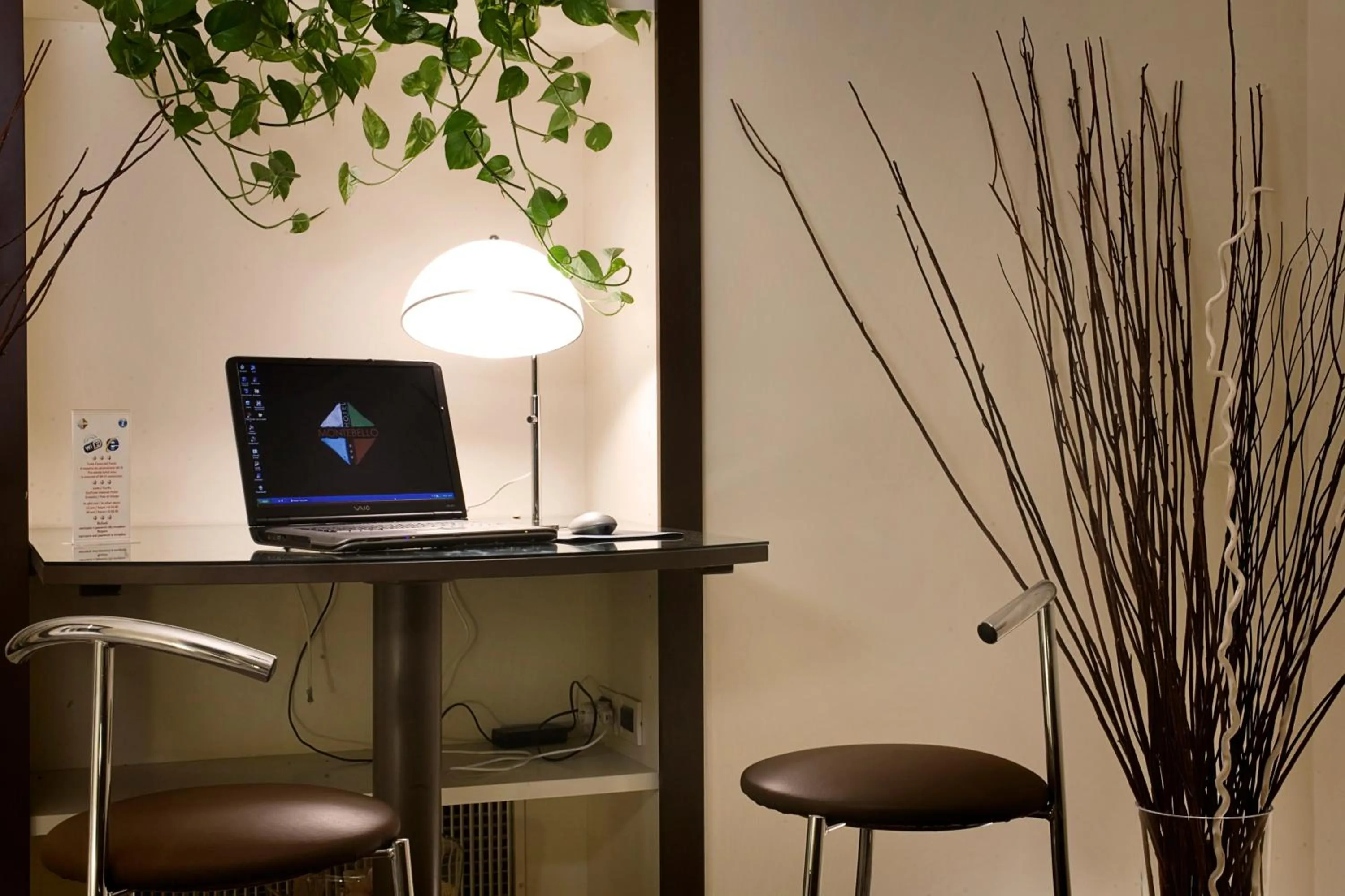 TV and multimedia in Hotel Montebello