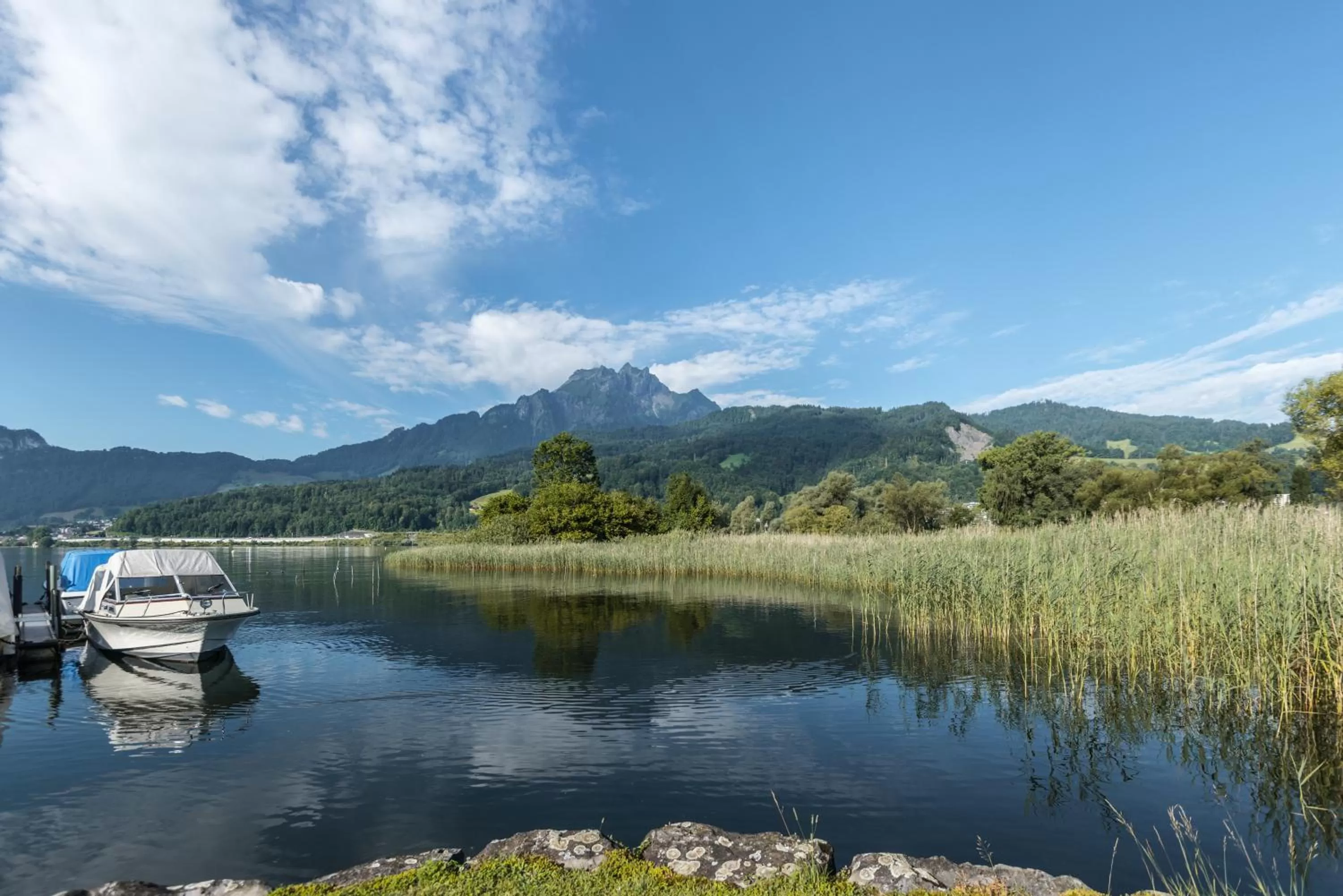 Lake view in Seehotel Sternen