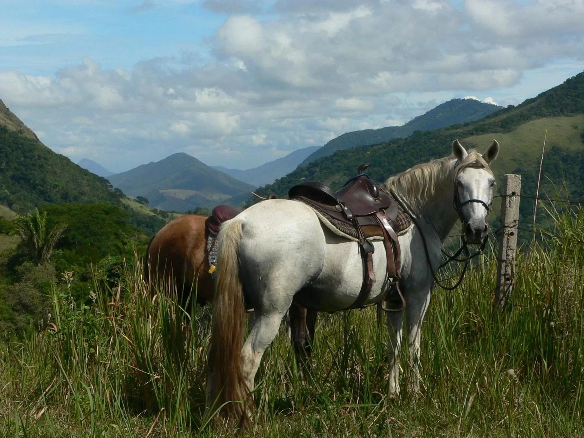 Horse-riding, Horseback Riding in Hotel Eco Sítio Nosso Paraíso