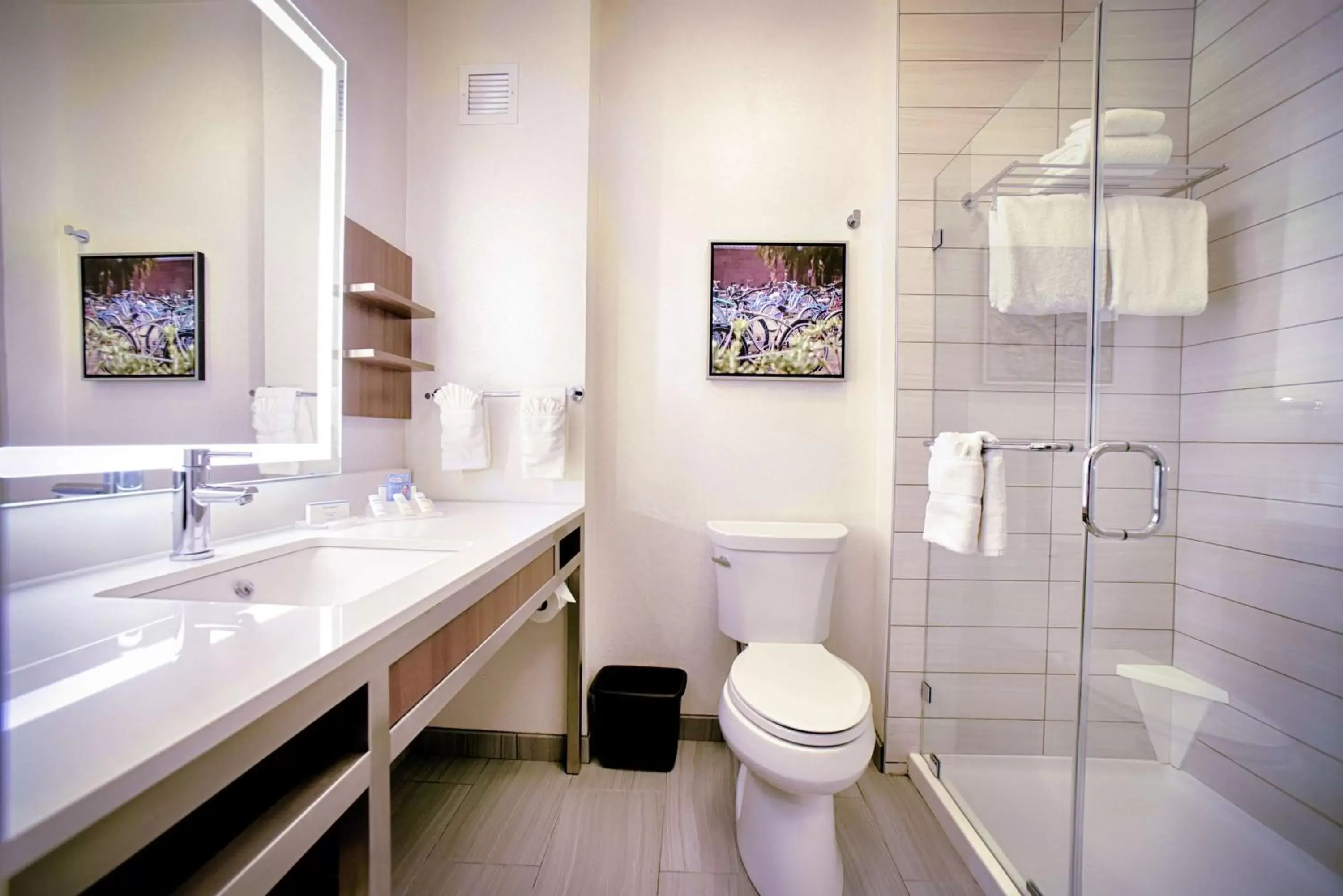 Bathroom in Hilton Garden Inn Santa Barbara/Goleta