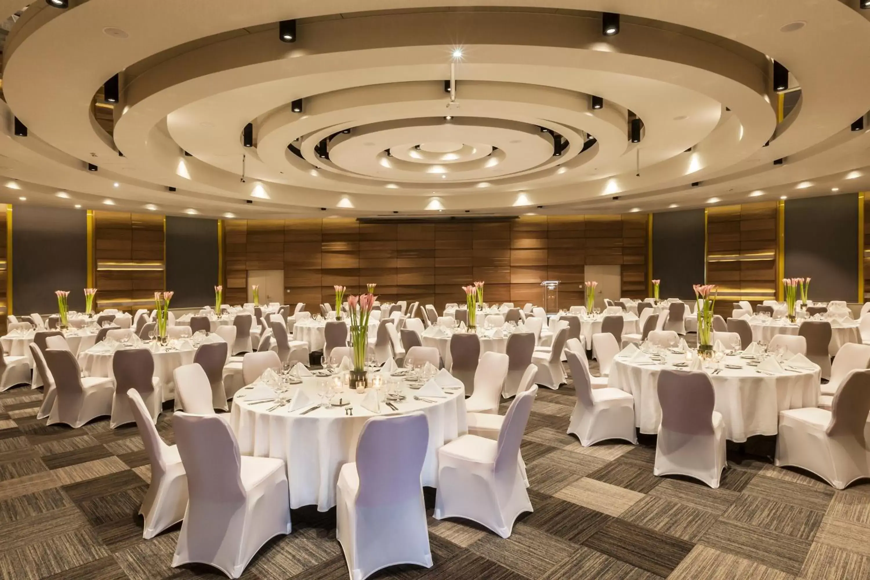 Banquet/Function facilities, Banquet Facilities in Danubius Hotel Helia