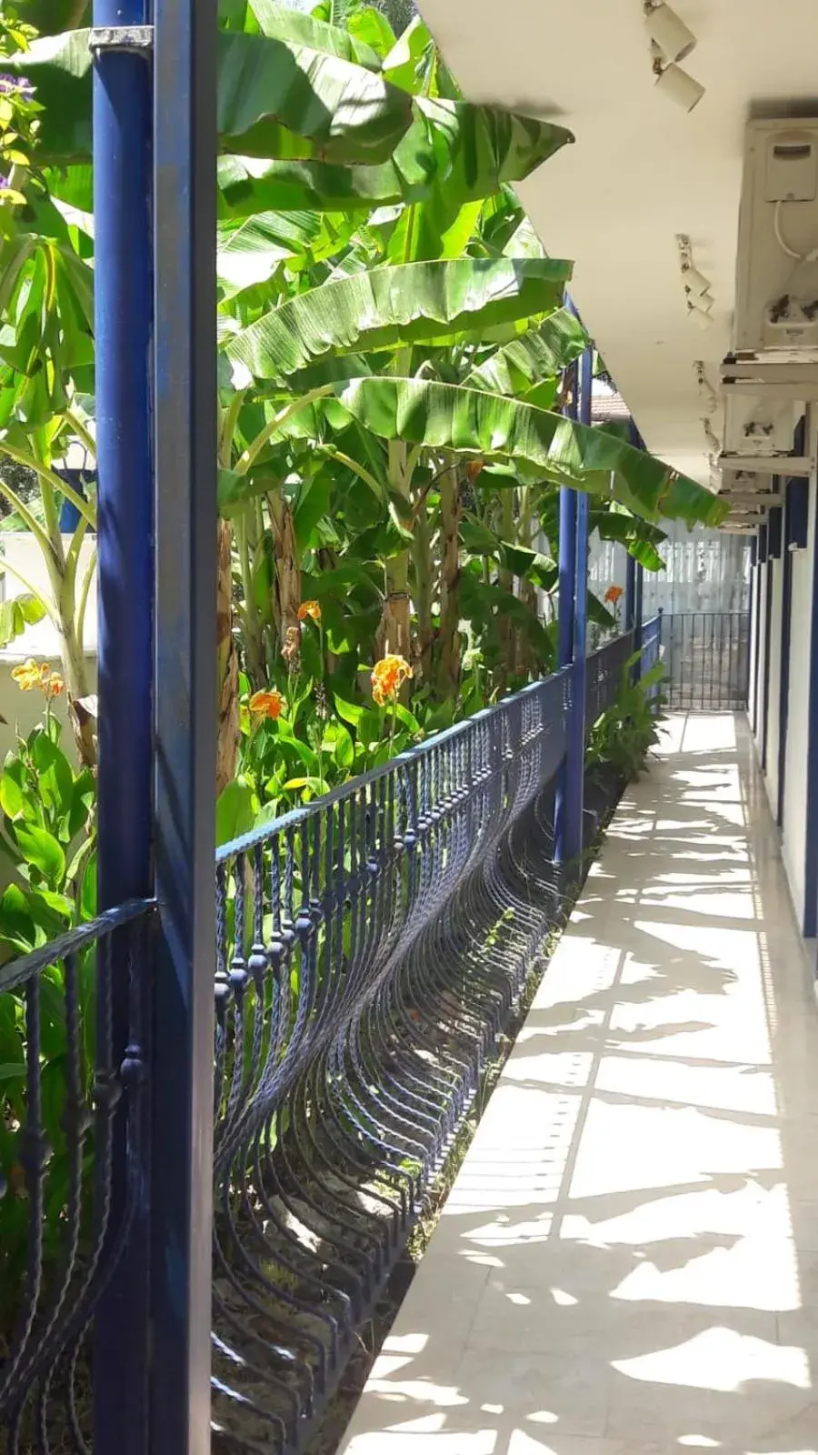 Balcony/Terrace in Rota Hotel