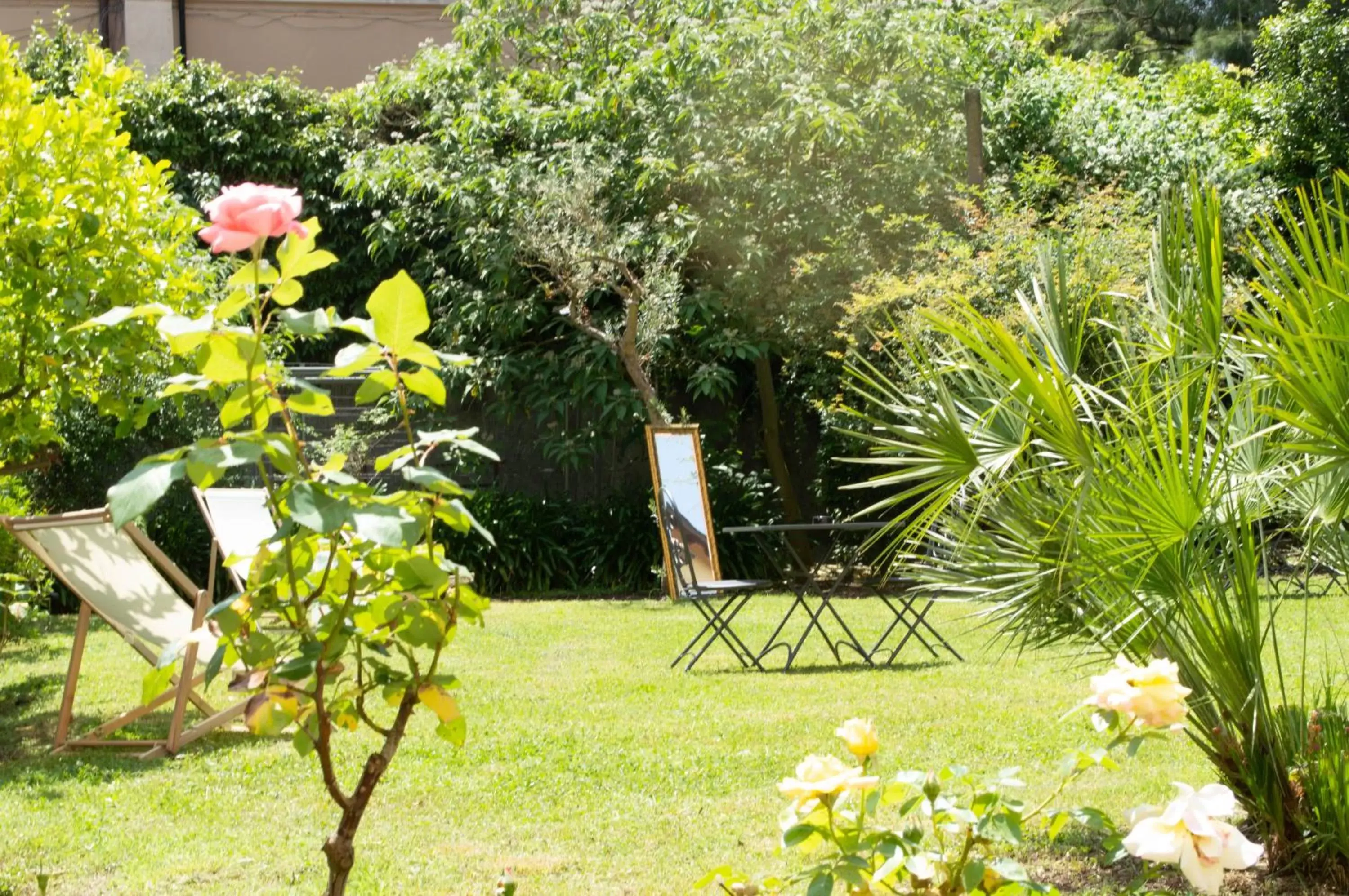Garden in Villa Riari Garden