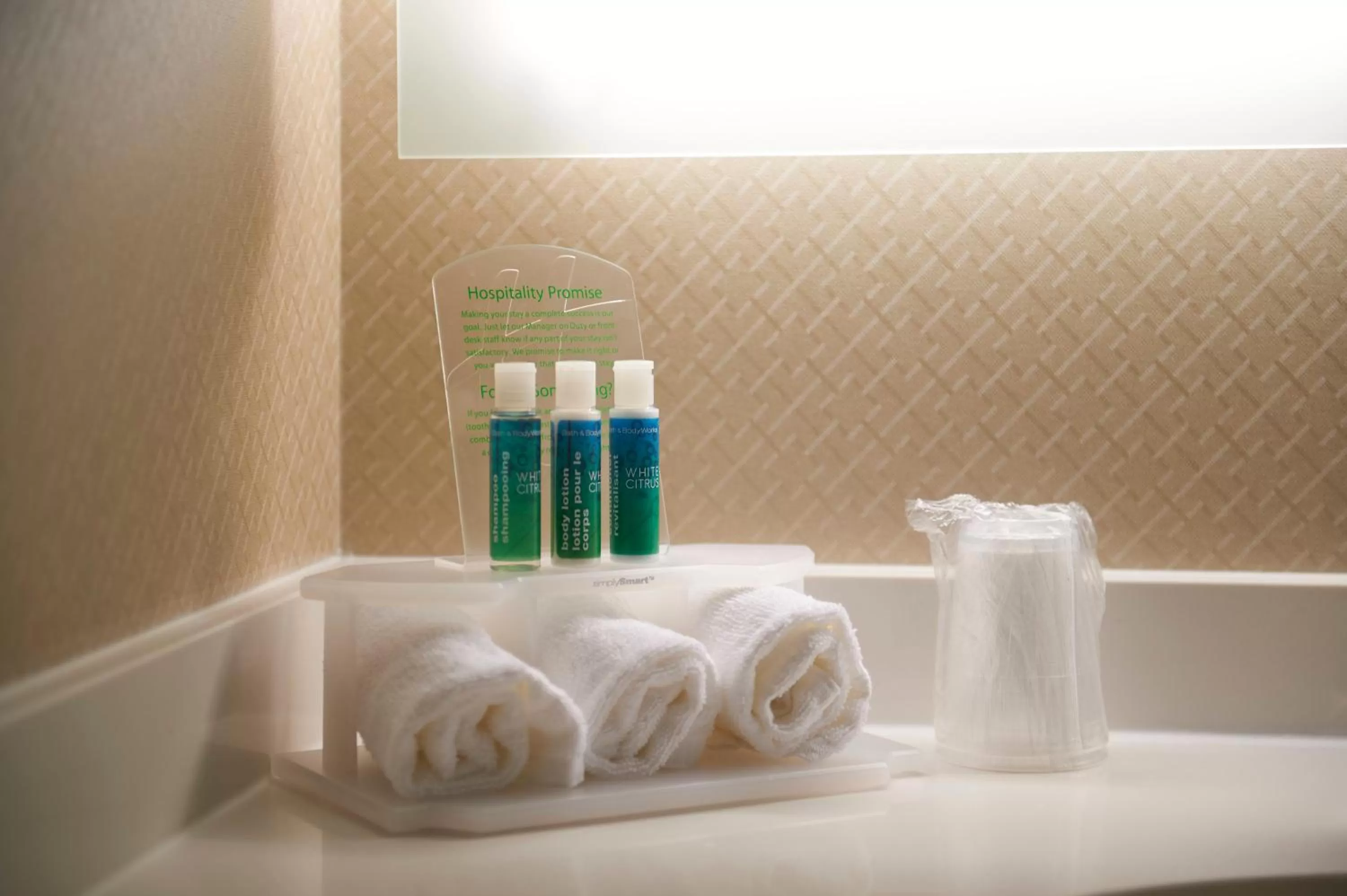 Bathroom in Holiday Inn Express & Suites St. John's Airport by IHG