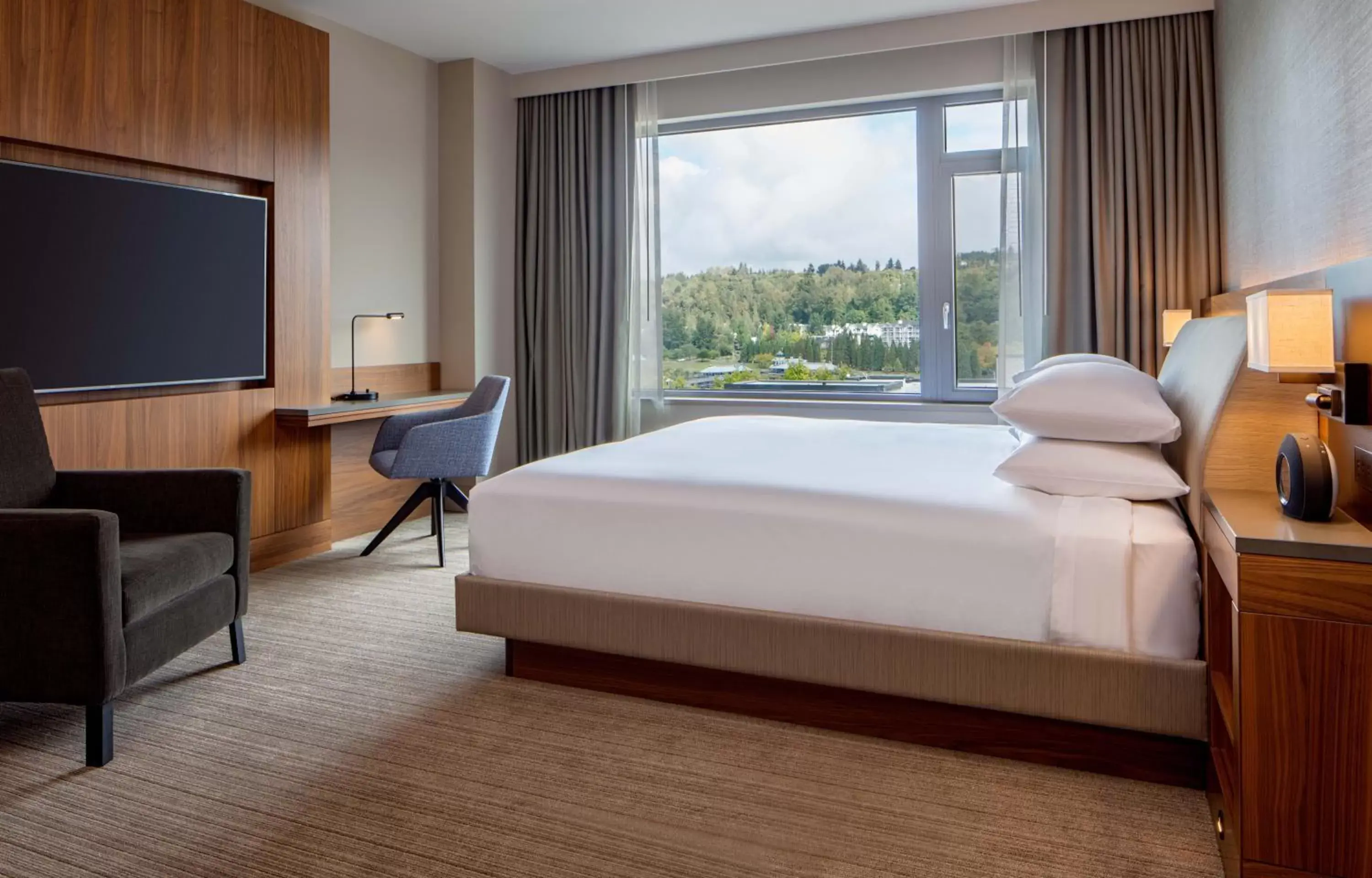 Deluxe King Room with Partial Lake View in Hyatt Regency Lake Washington at Seattle's Southport