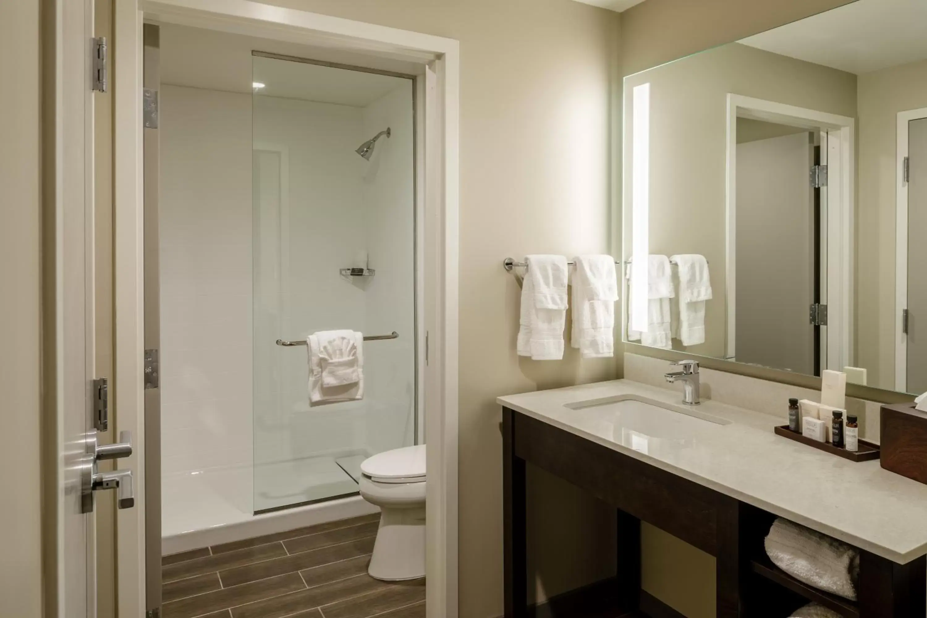 Bathroom in Hotel Madison & Shenandoah Conference Ctr.