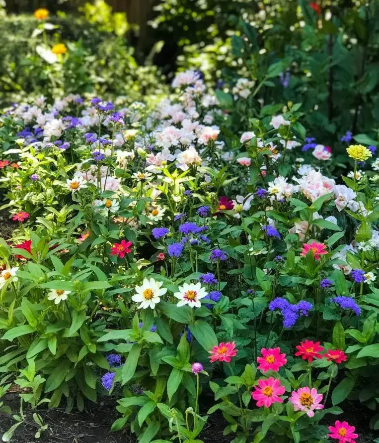 Garden in Wine & Roses Hotel Restaurant Spa Lodi