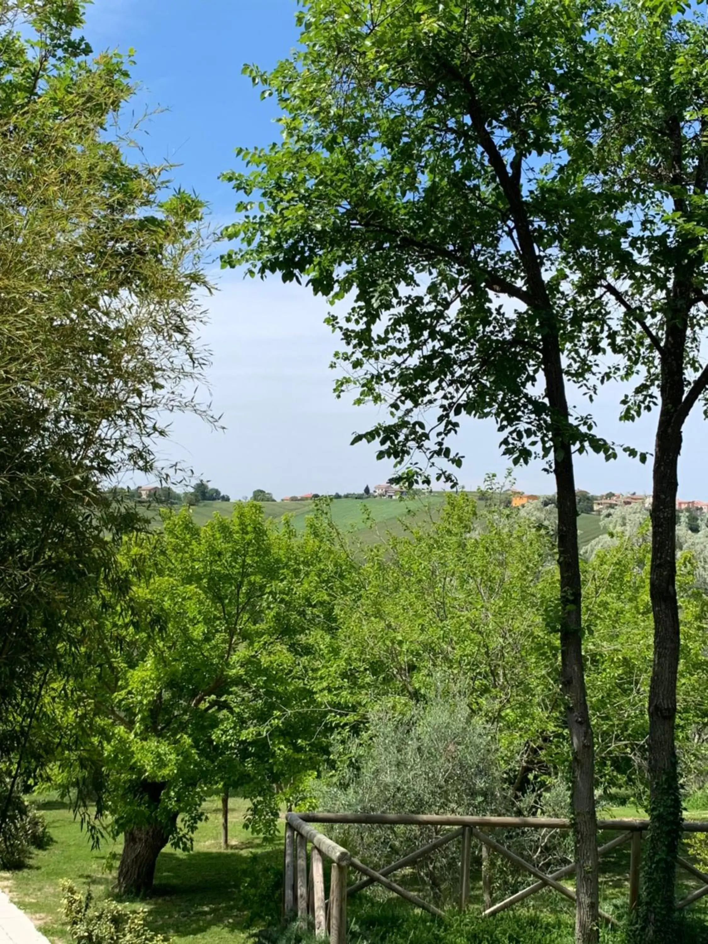 Natural landscape in Il Lauro