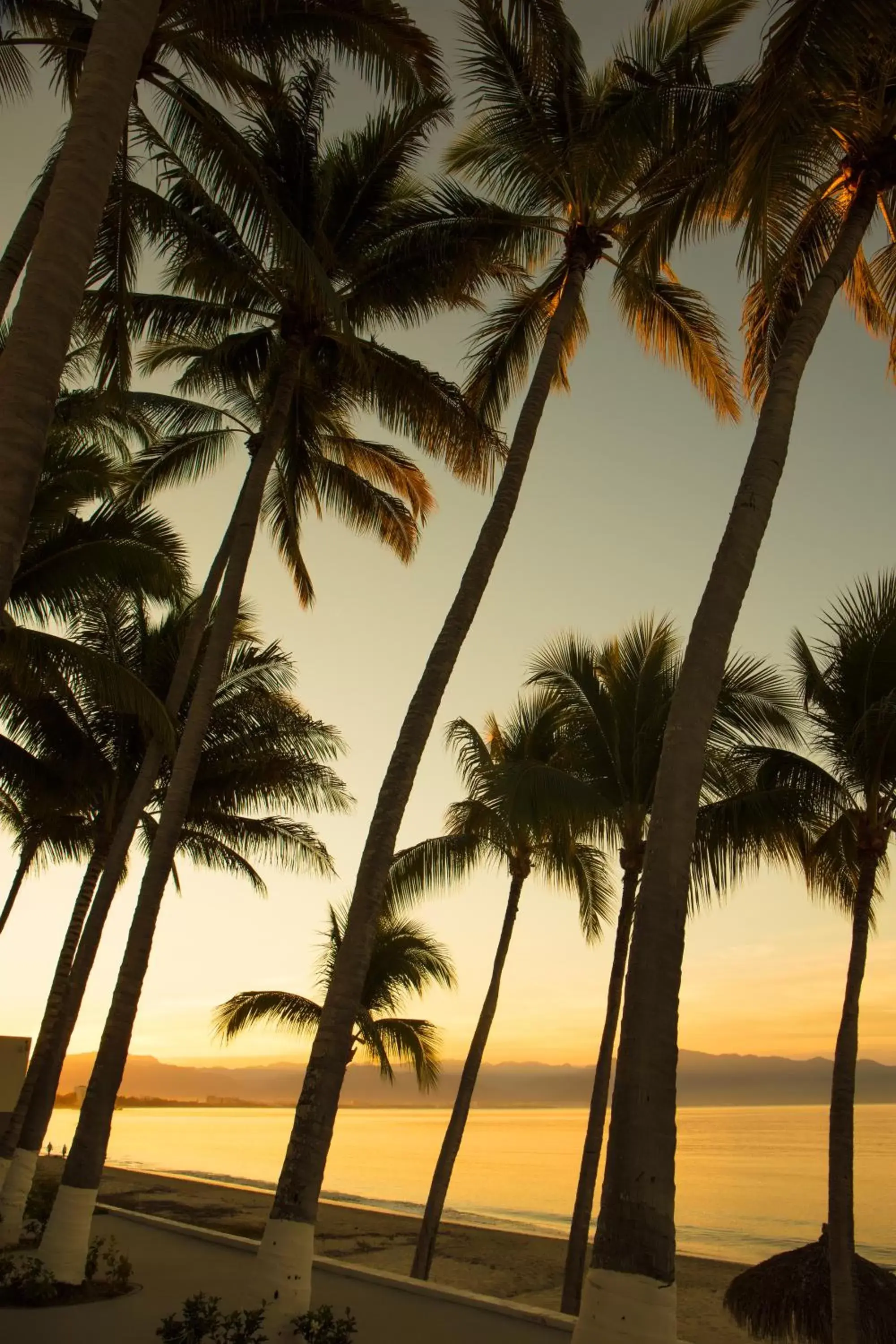 Beach, Sunrise/Sunset in Vista Vallarta All Suites On The Beach