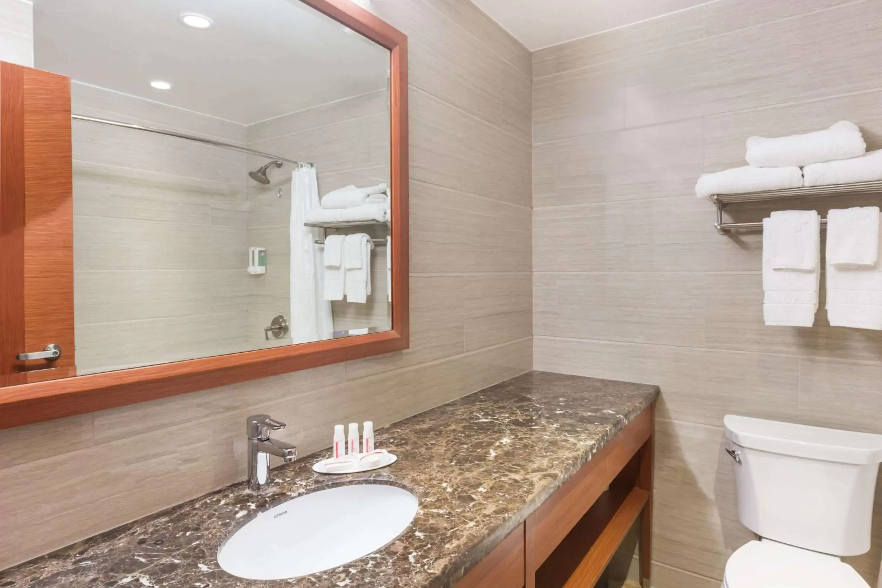 Bathroom in Ramada by Wyndham Flushing Queens