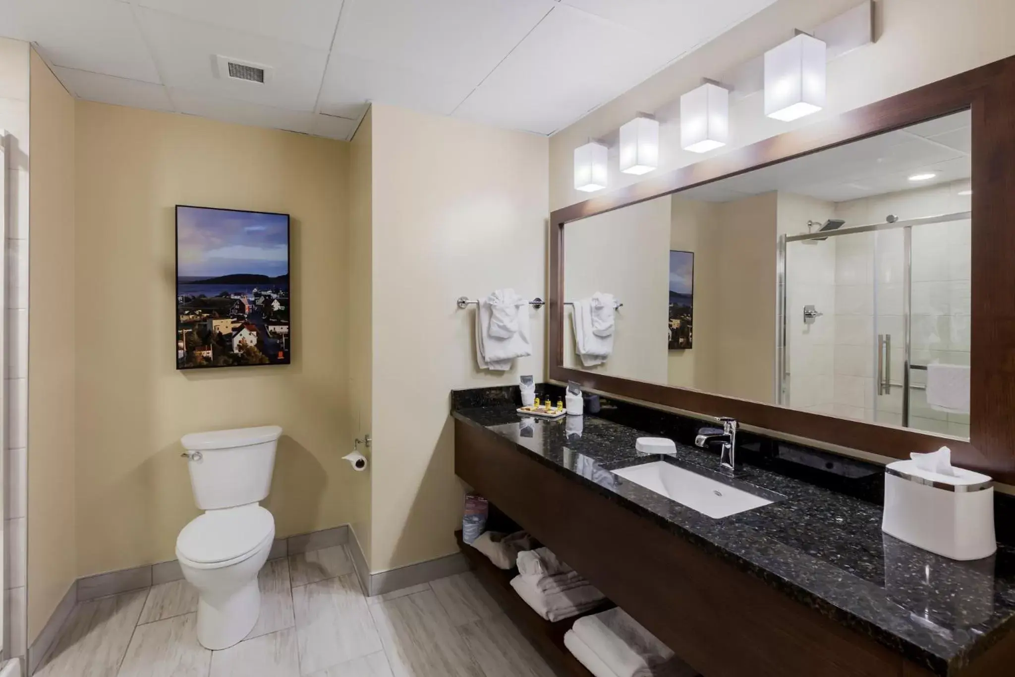 Bathroom in Best Western Plus St. John's Airport Hotel and Suites