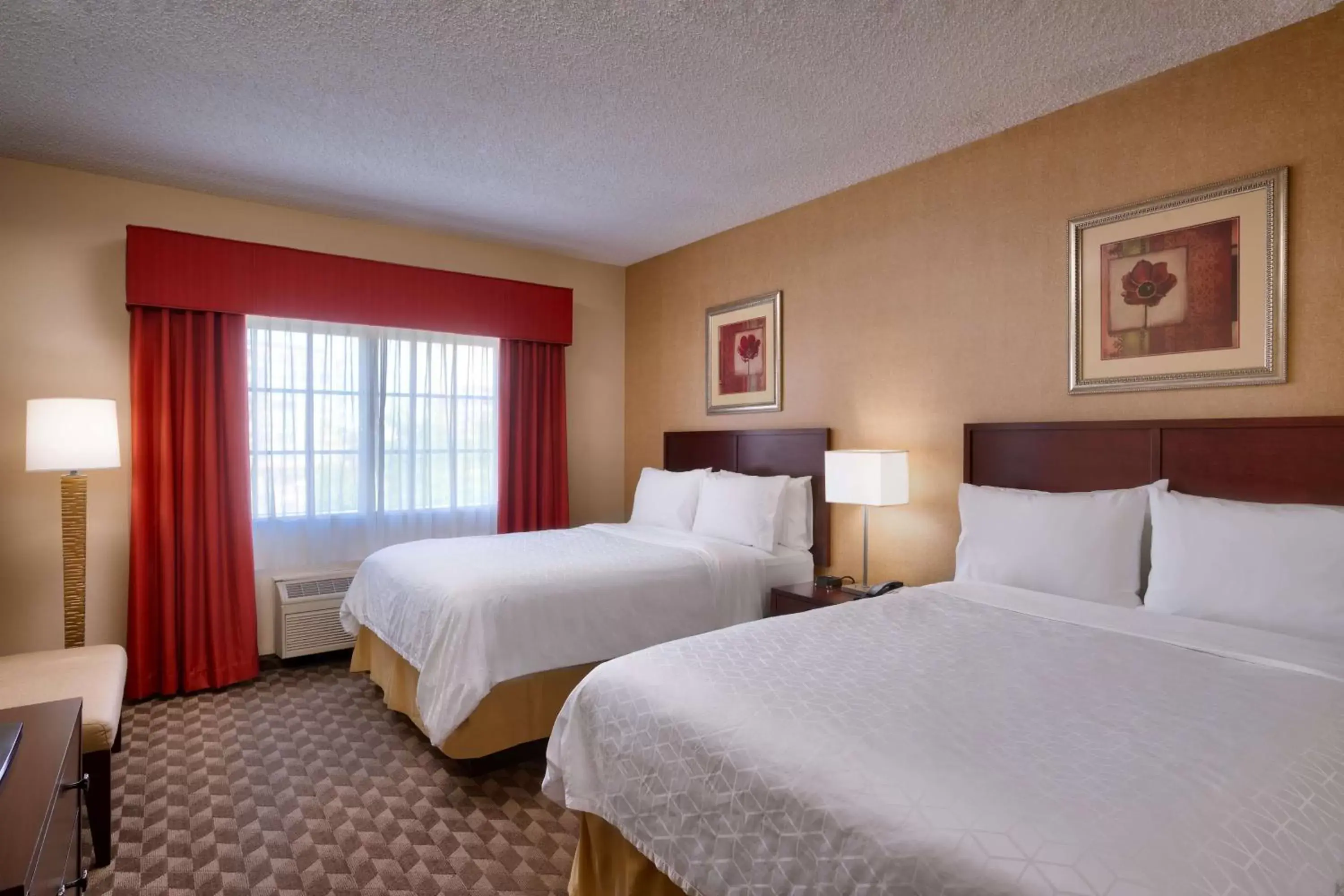 Photo of the whole room, Bed in Best Western Downtown Phoenix