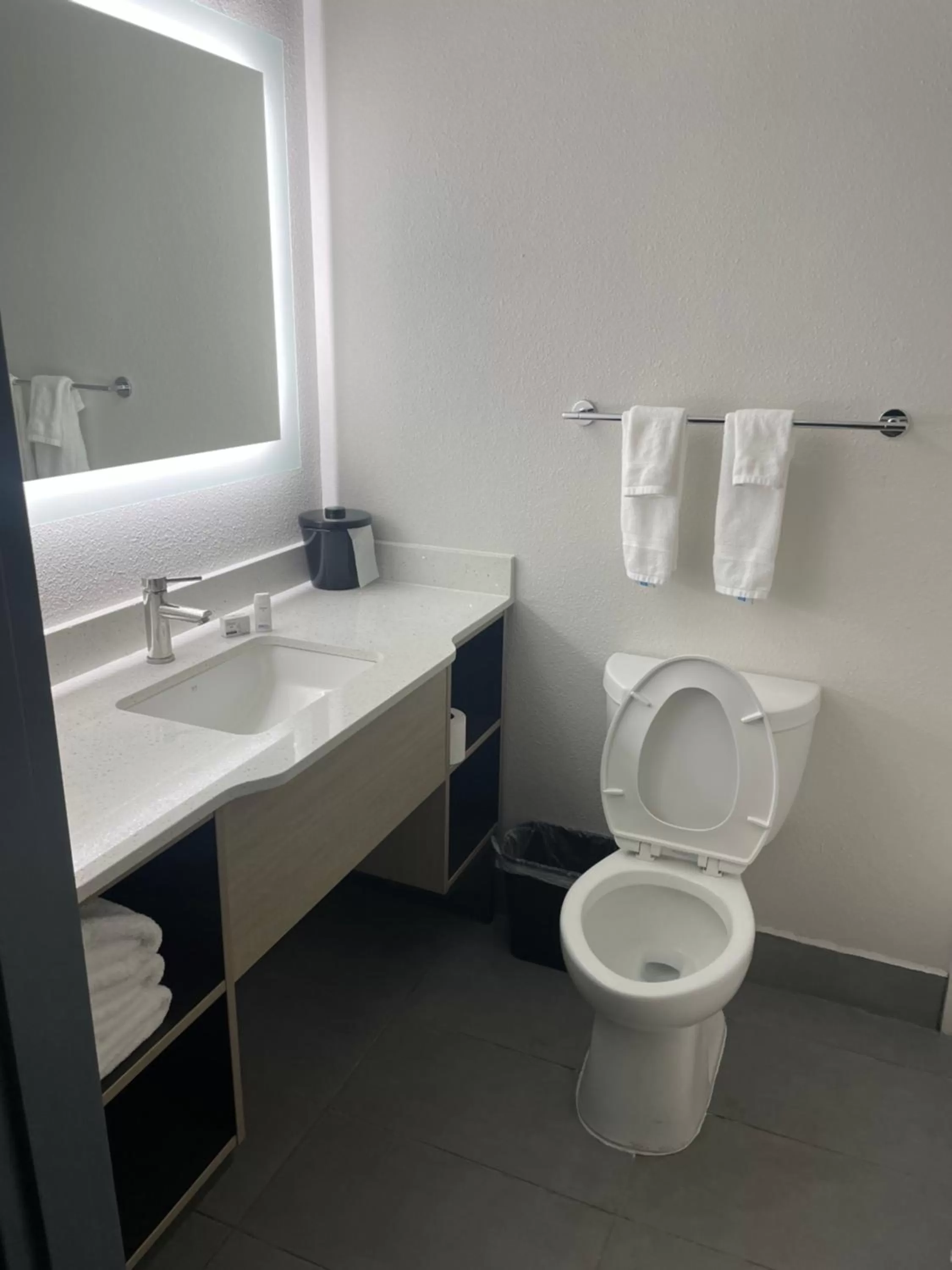 Bathroom in Wingate by Wyndham Savannah Gateway