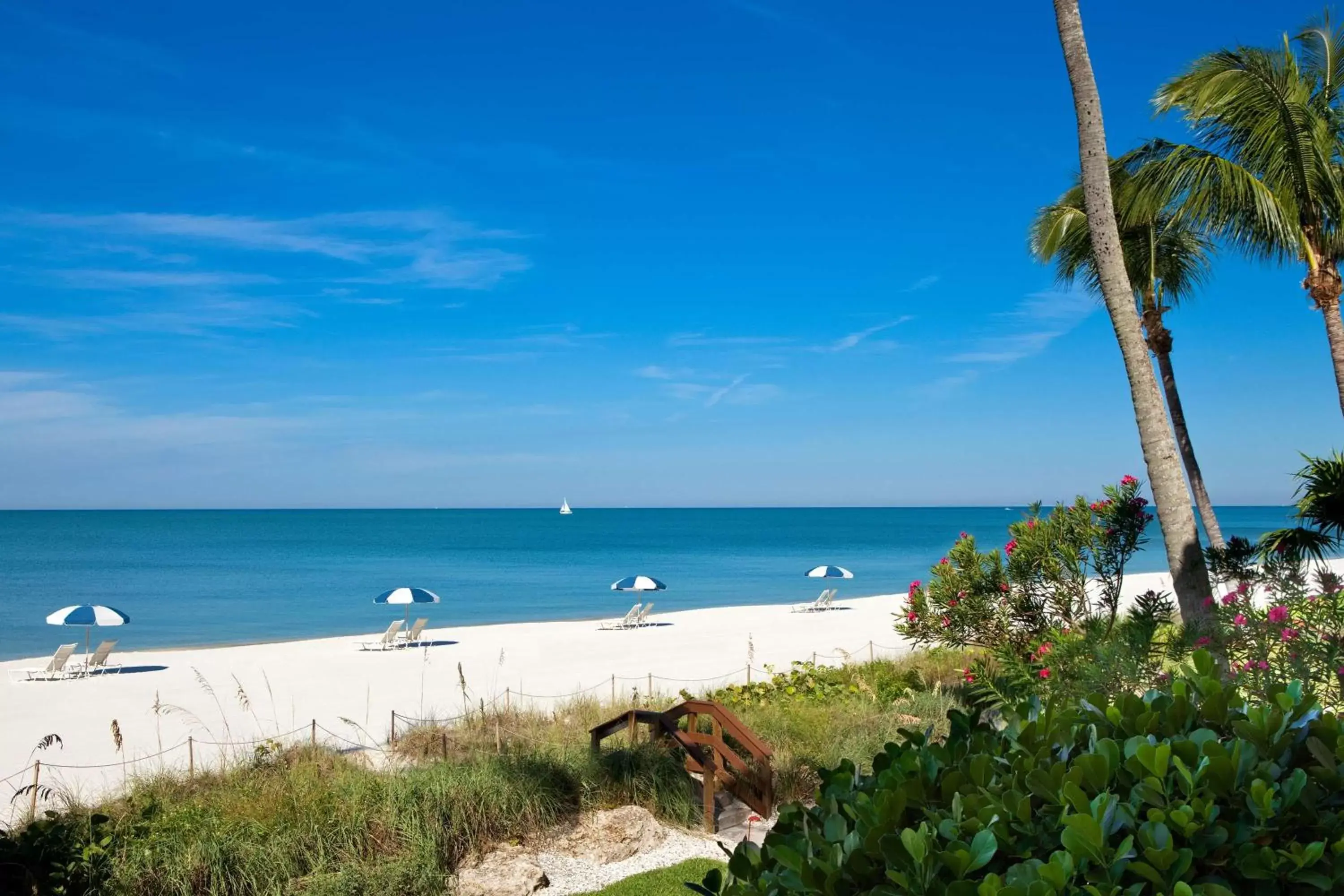 Beach, Sea View in La Playa Beach & Golf Resort, a Noble House Resort