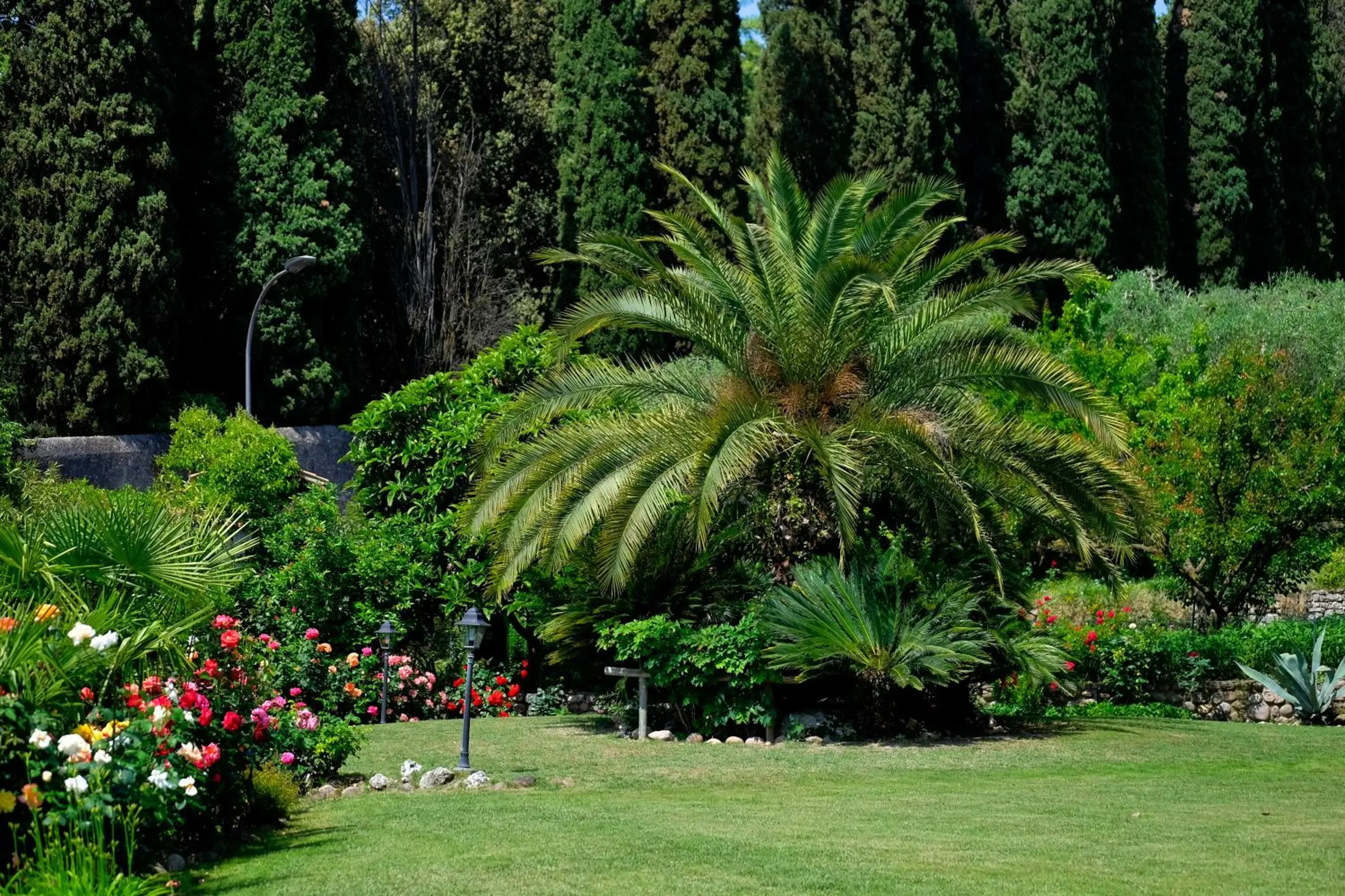 Garden in Villa Madrina Wellness Resort Hotel