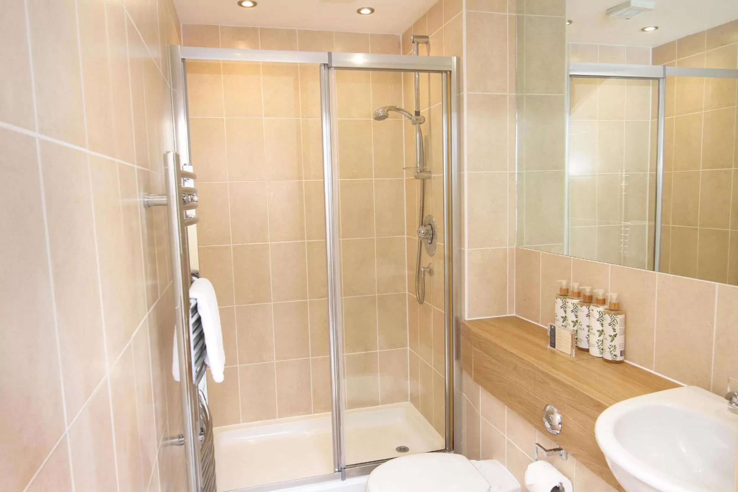 Toilet in Esplanade Hotel