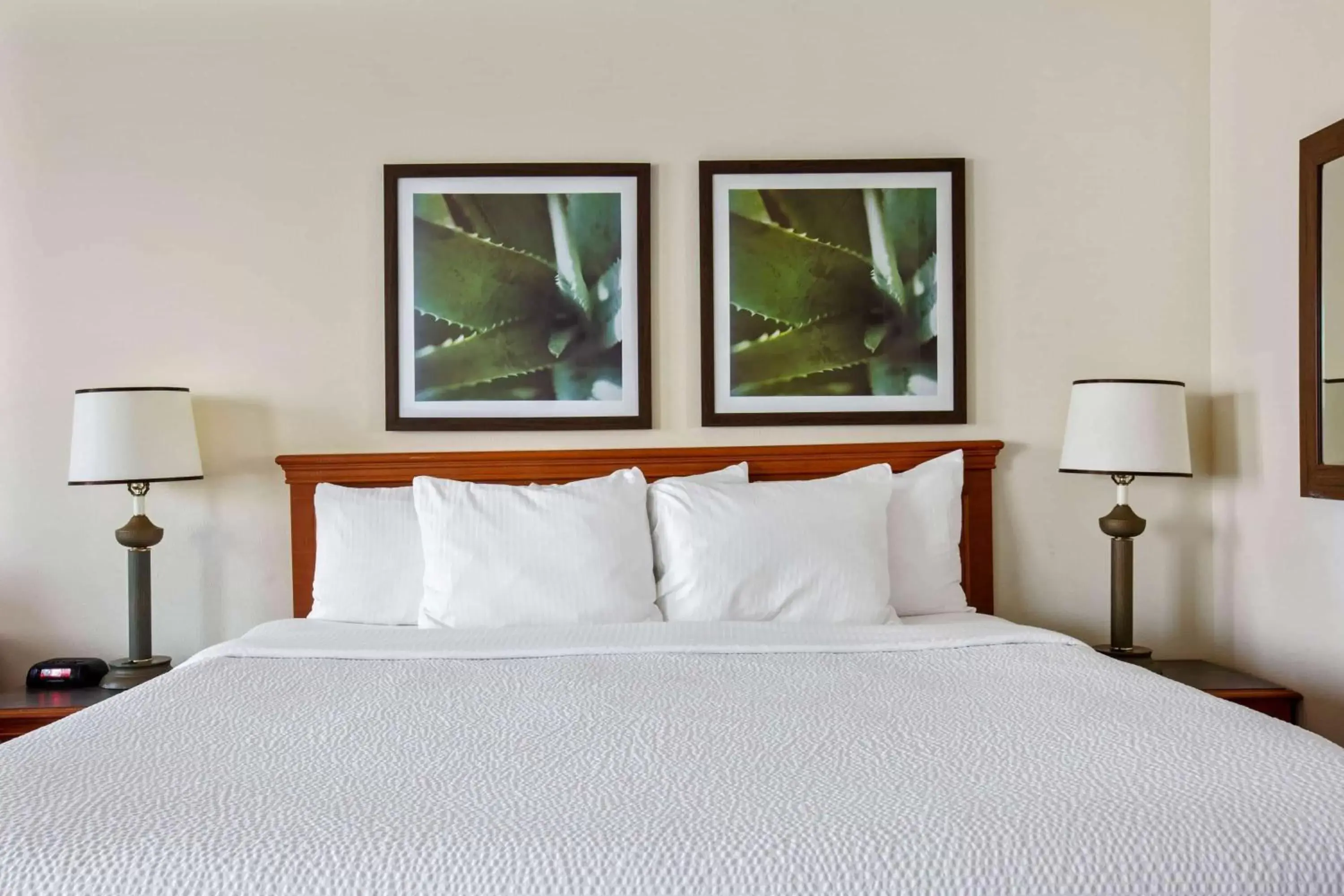 Photo of the whole room, Bed in La Quinta by Wyndham Sunrise Sawgrass Mills
