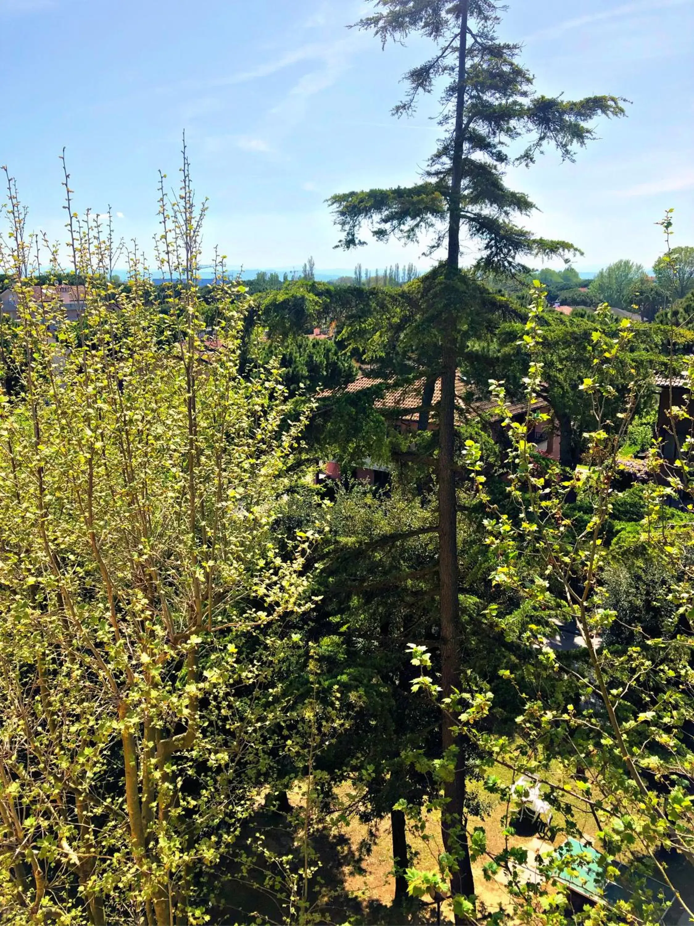 Natural landscape in Hotel del Falco