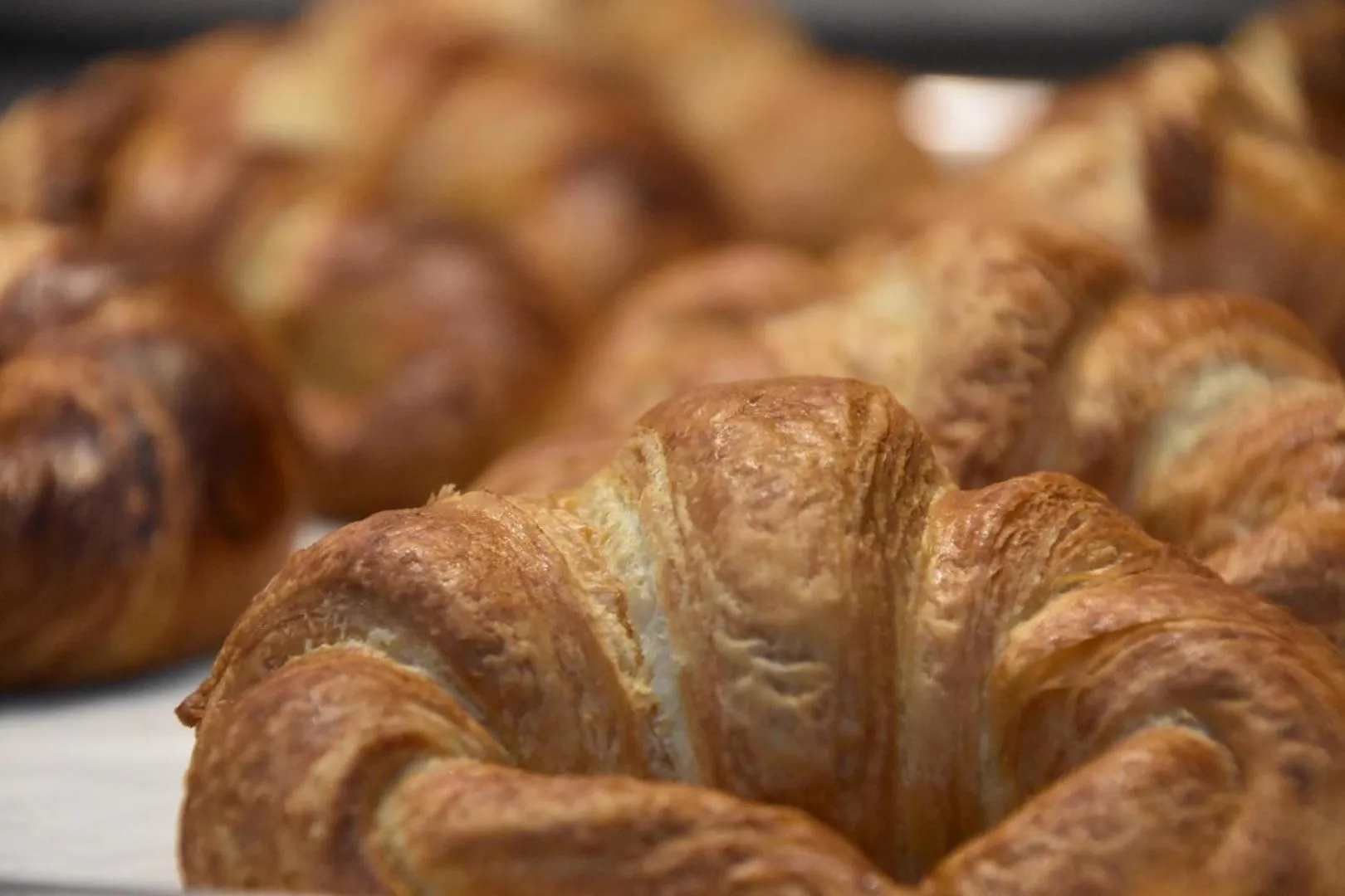 Breakfast in Hotel Spa Rio Ucero