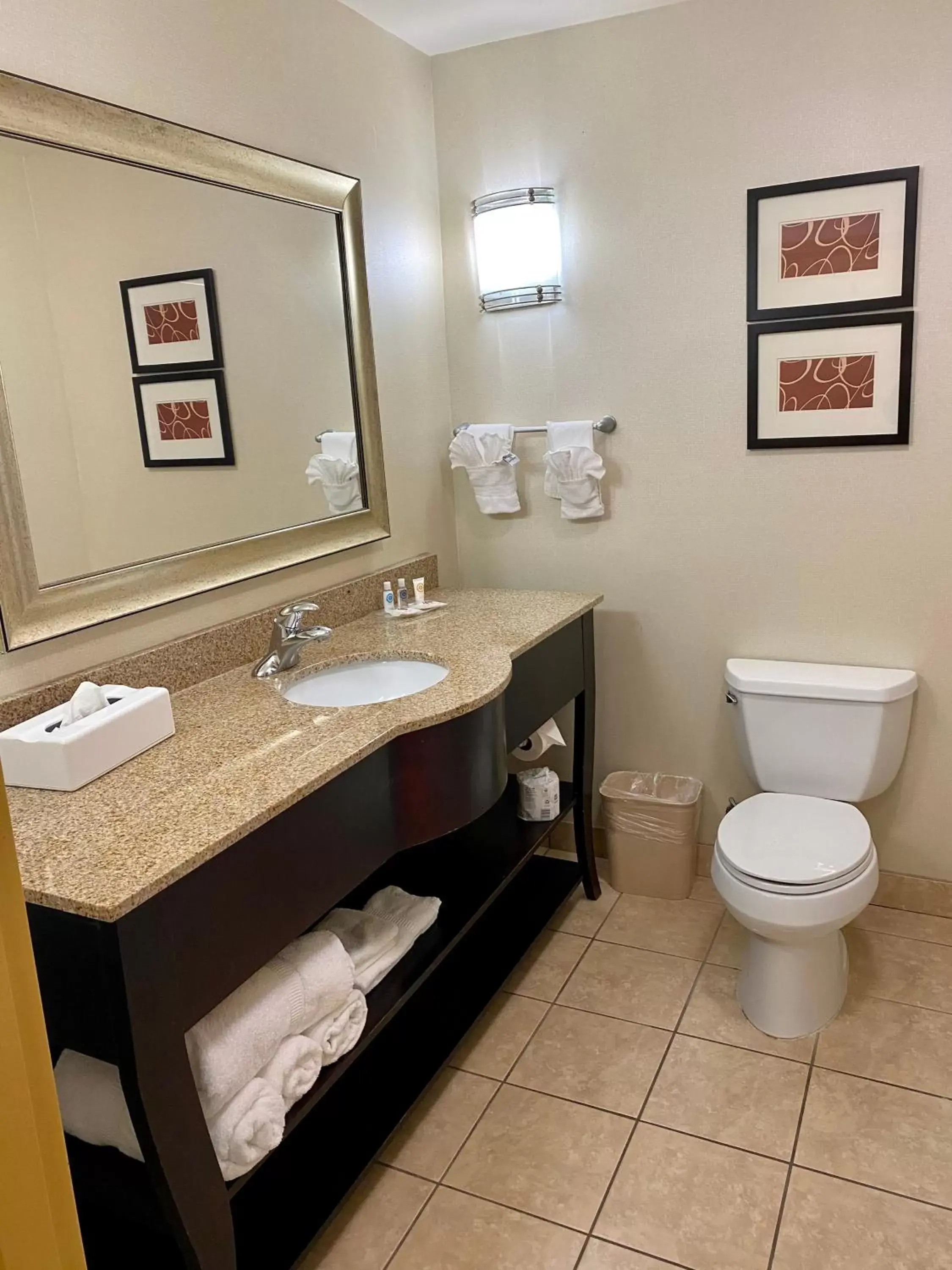 Bathroom in Comfort Suites Rock Hill Manchester Meadows Area