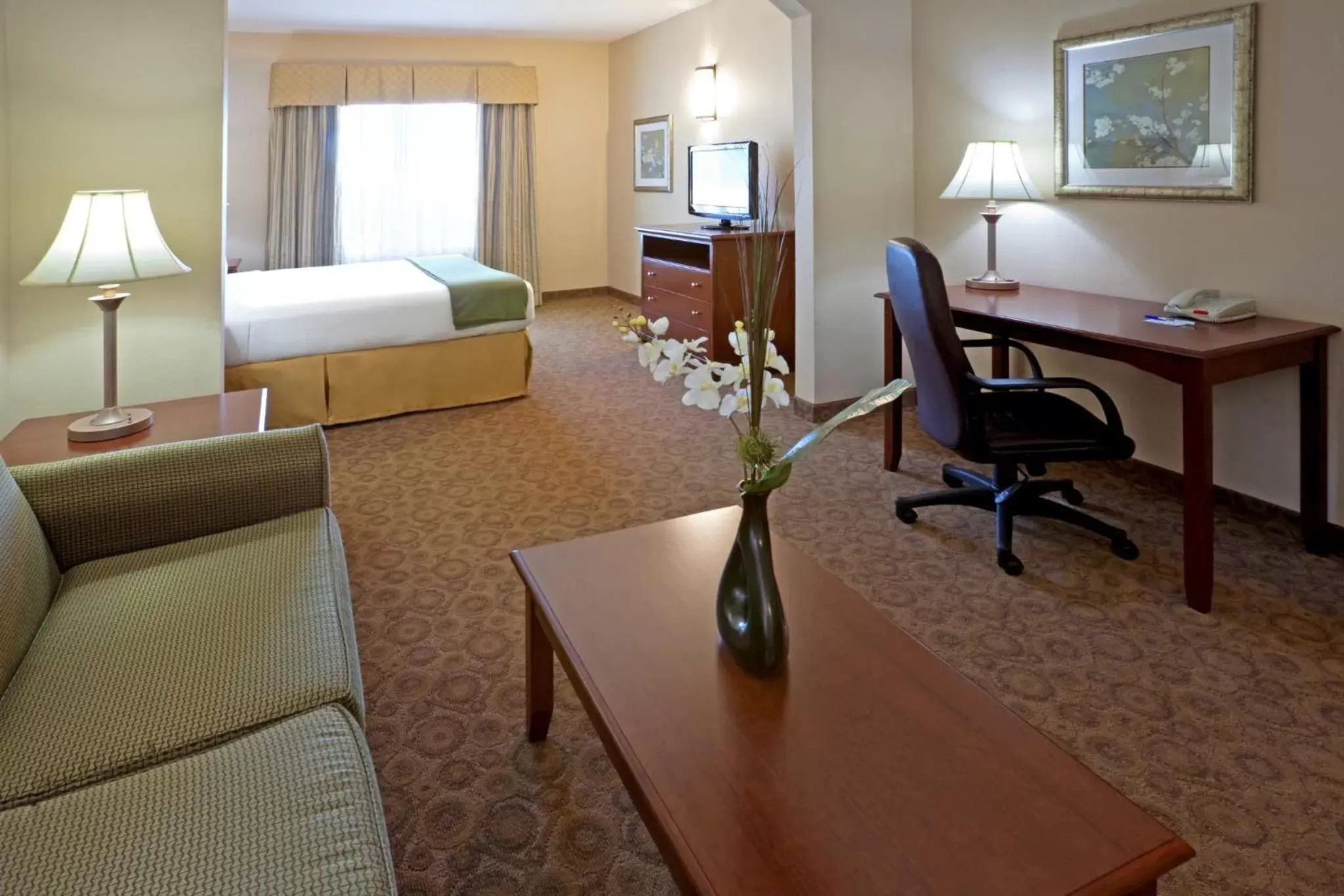 Photo of the whole room, Seating Area in Holiday Inn Express Hotel & Suites Cedar Hill, an IHG Hotel