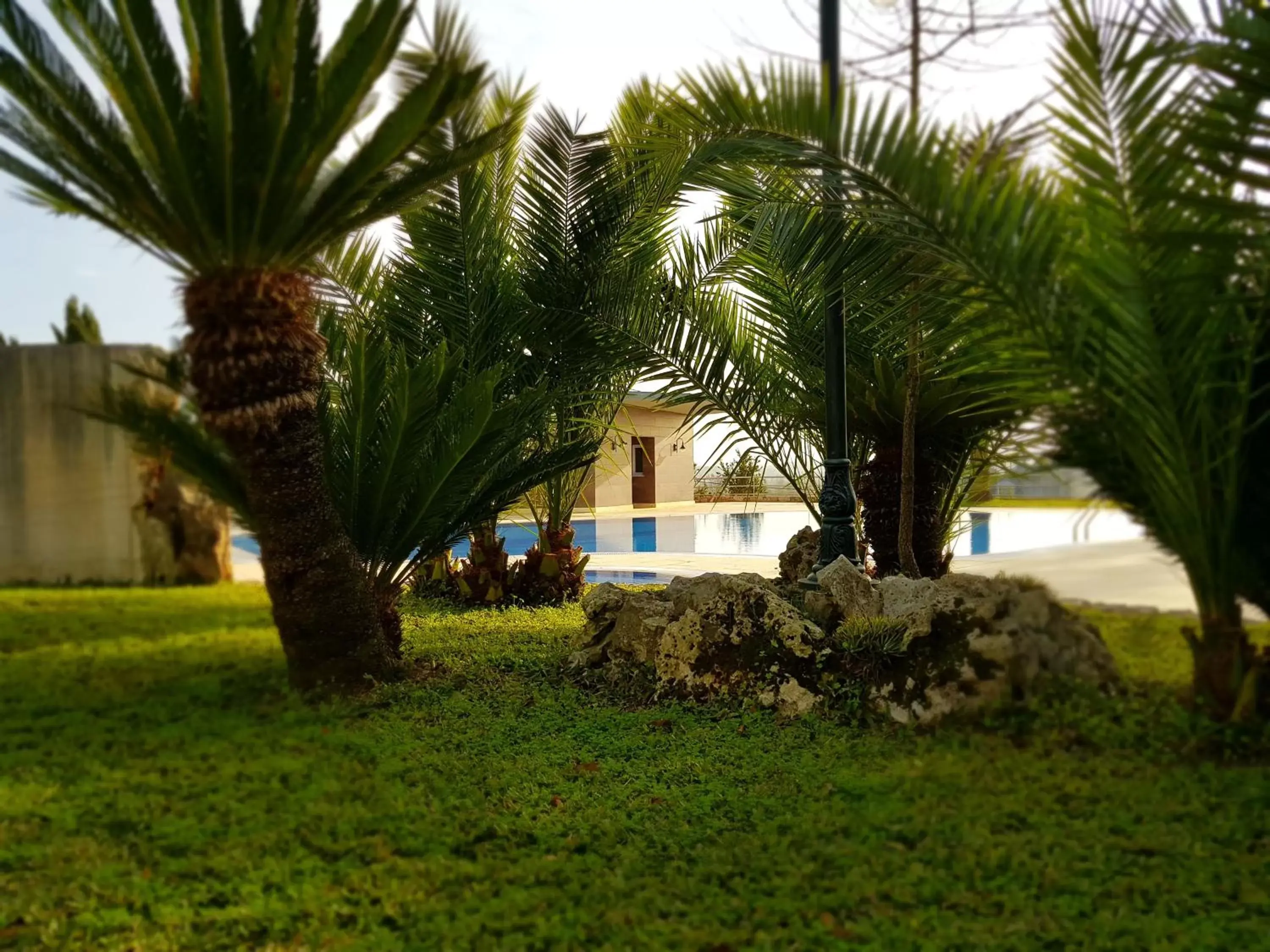 Property Building in Palacio São Silvestre-Boutique Hotel