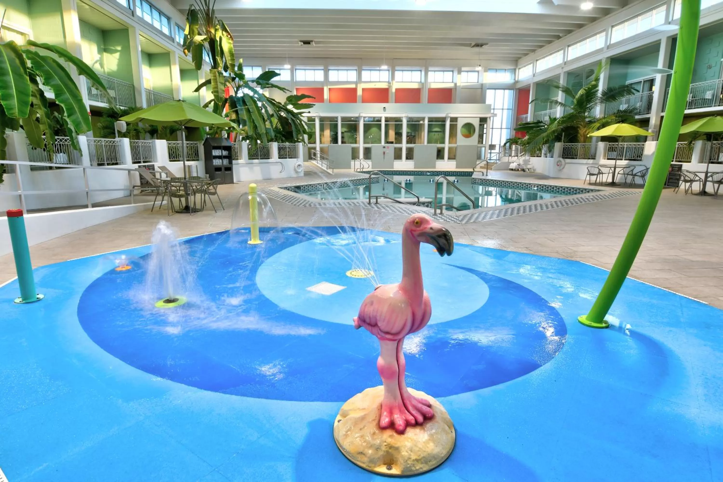 Swimming pool in Oasis Hotel and Conv Center, an Ascend Collection Hotel