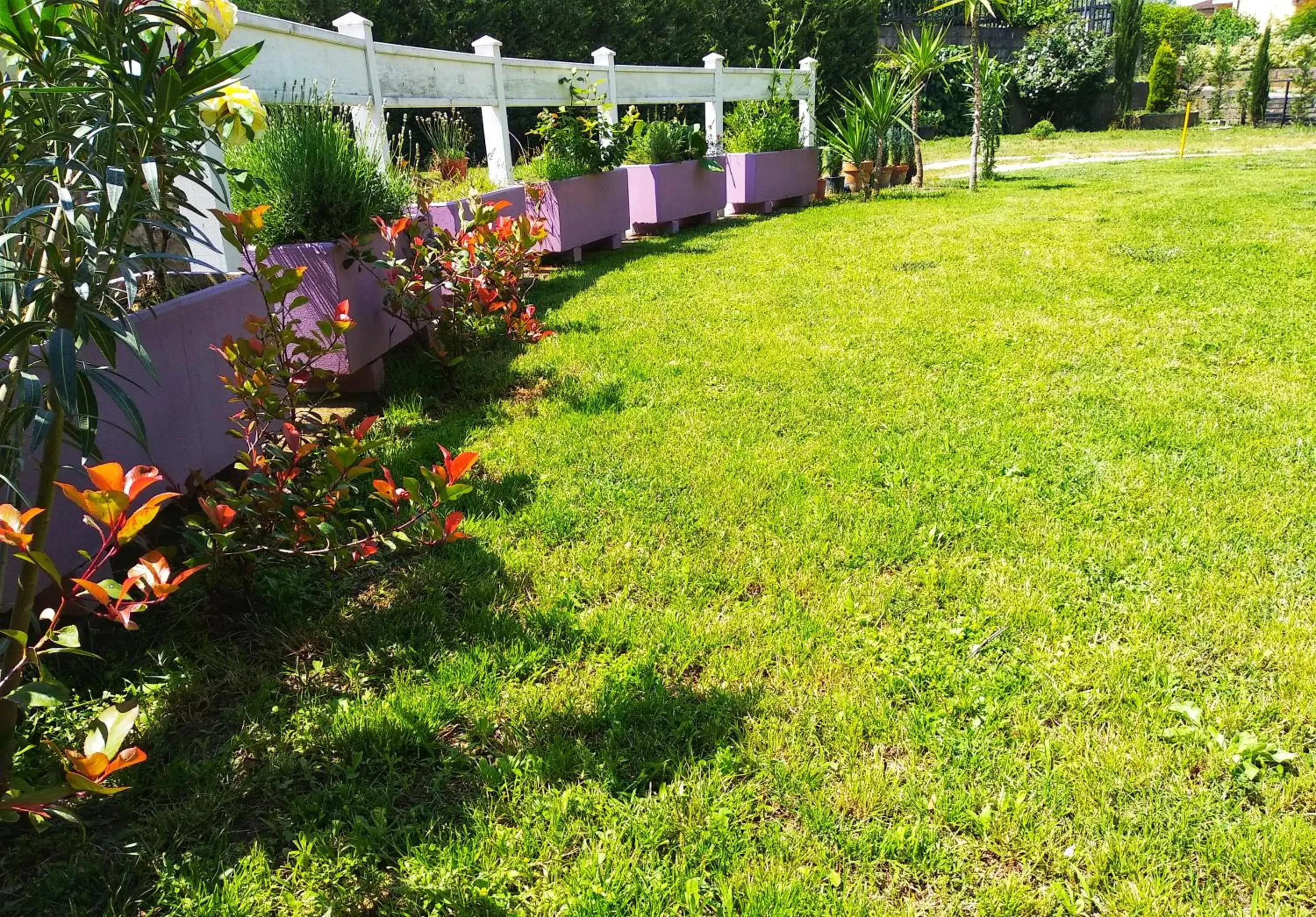 Garden view, Garden in Le Ceramiche - Hotel Residence ed Eventi