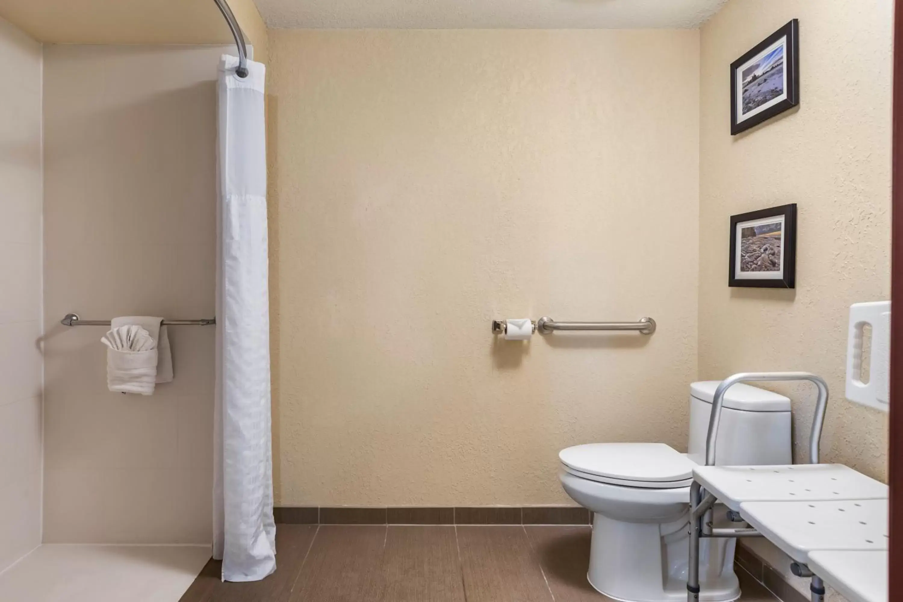 Bathroom in Comfort Inn & Suites Allen Park/Dearborn