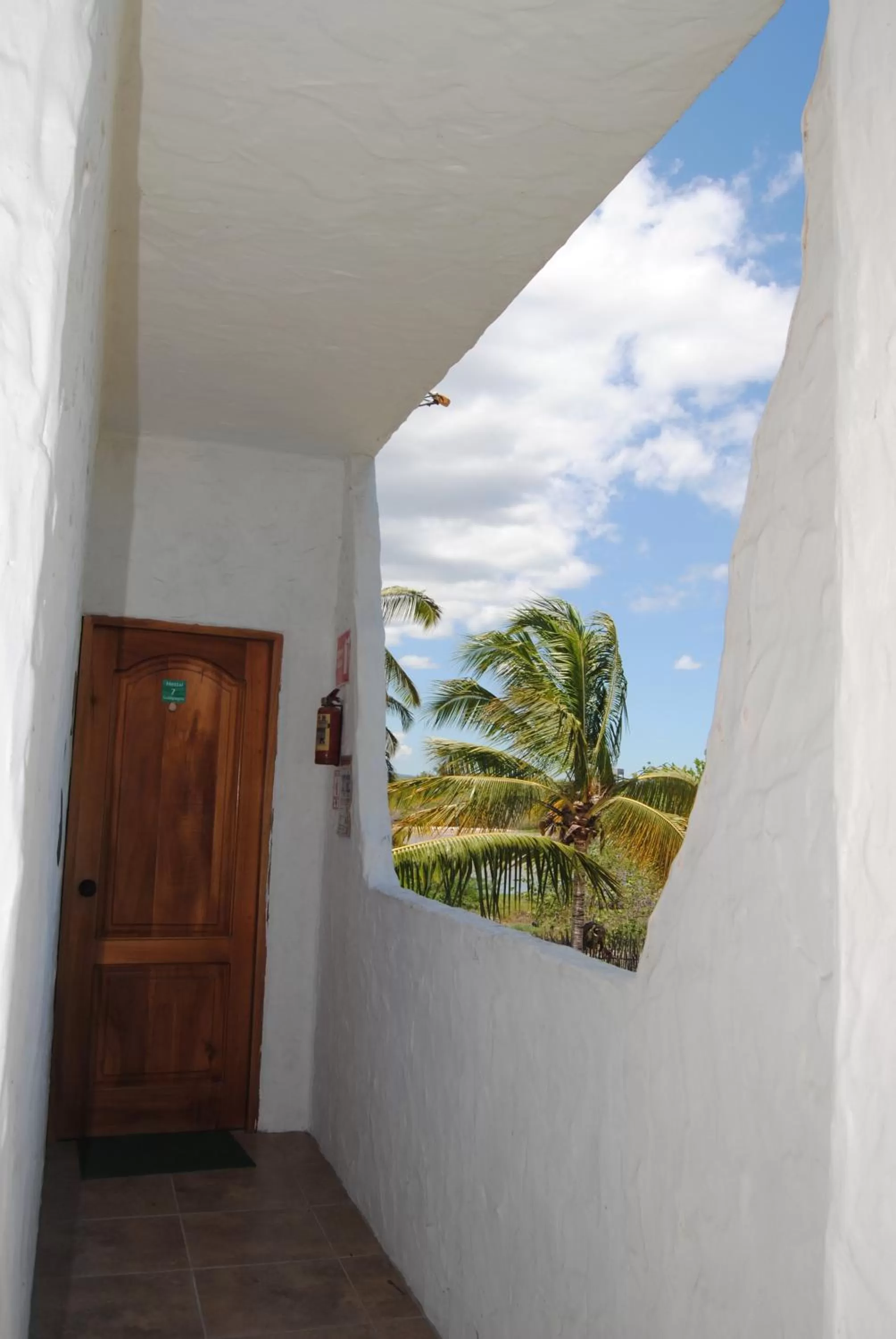 Property building in Hostal Galapagos by Bar de Beto