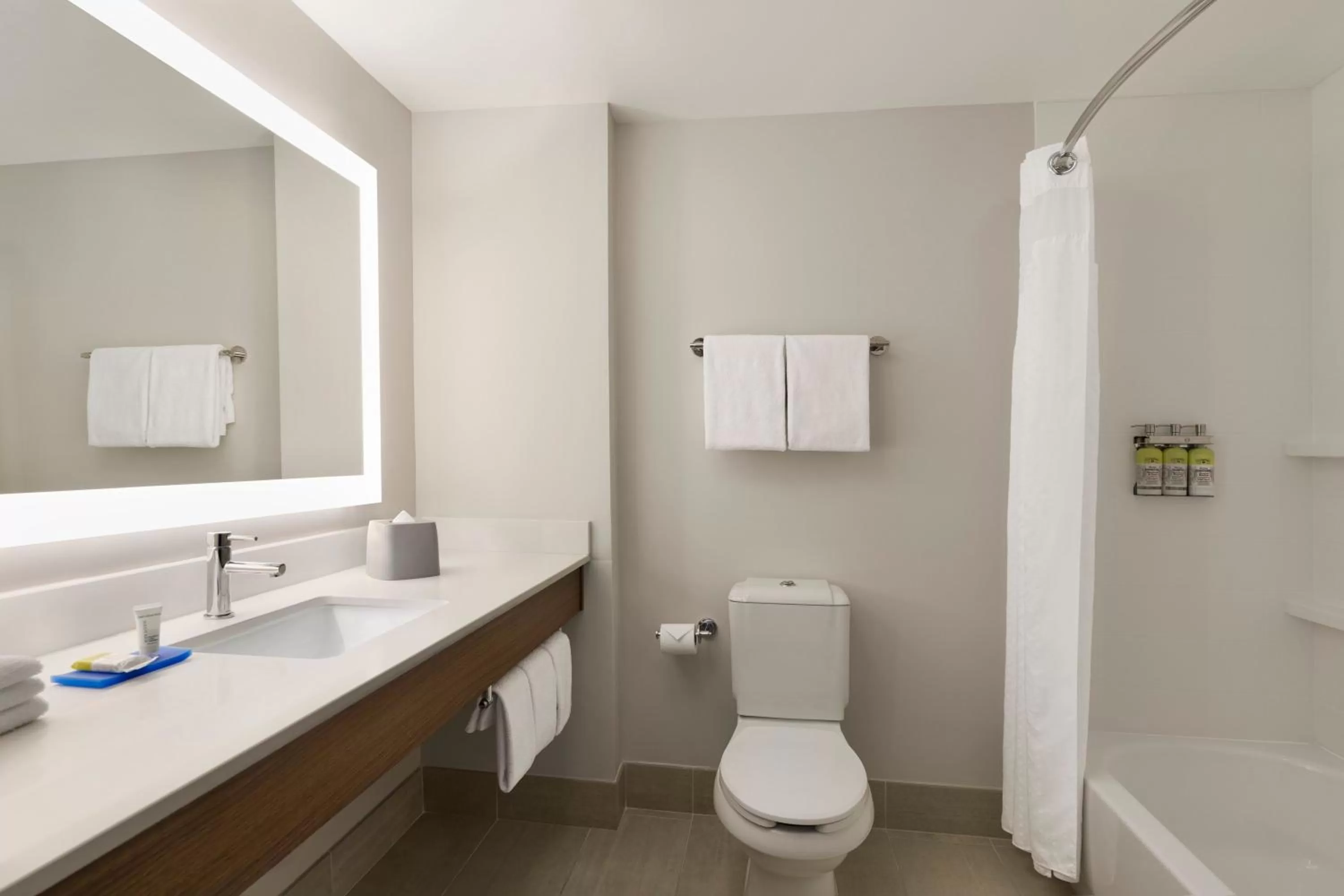 Bathroom in Holiday Inn Express Hotel & Suites Mount Pleasant - Charleston by IHG