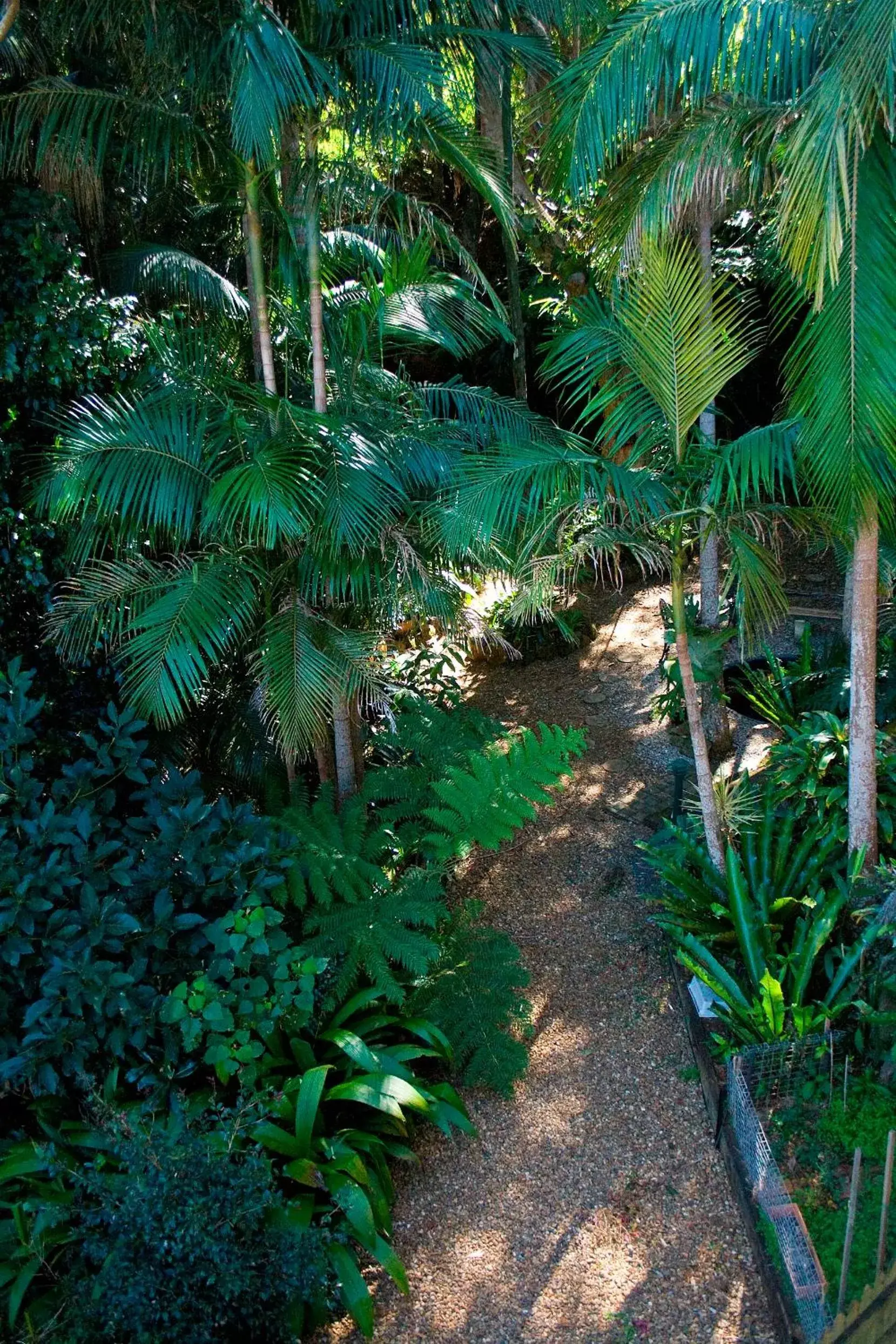 Garden in Avocado Sunset Bed & Breakfast