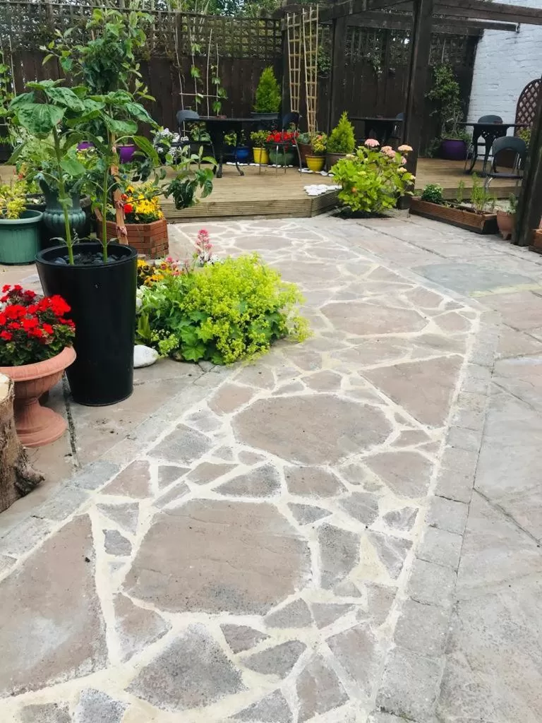 Garden in Albion Boutique Guest House