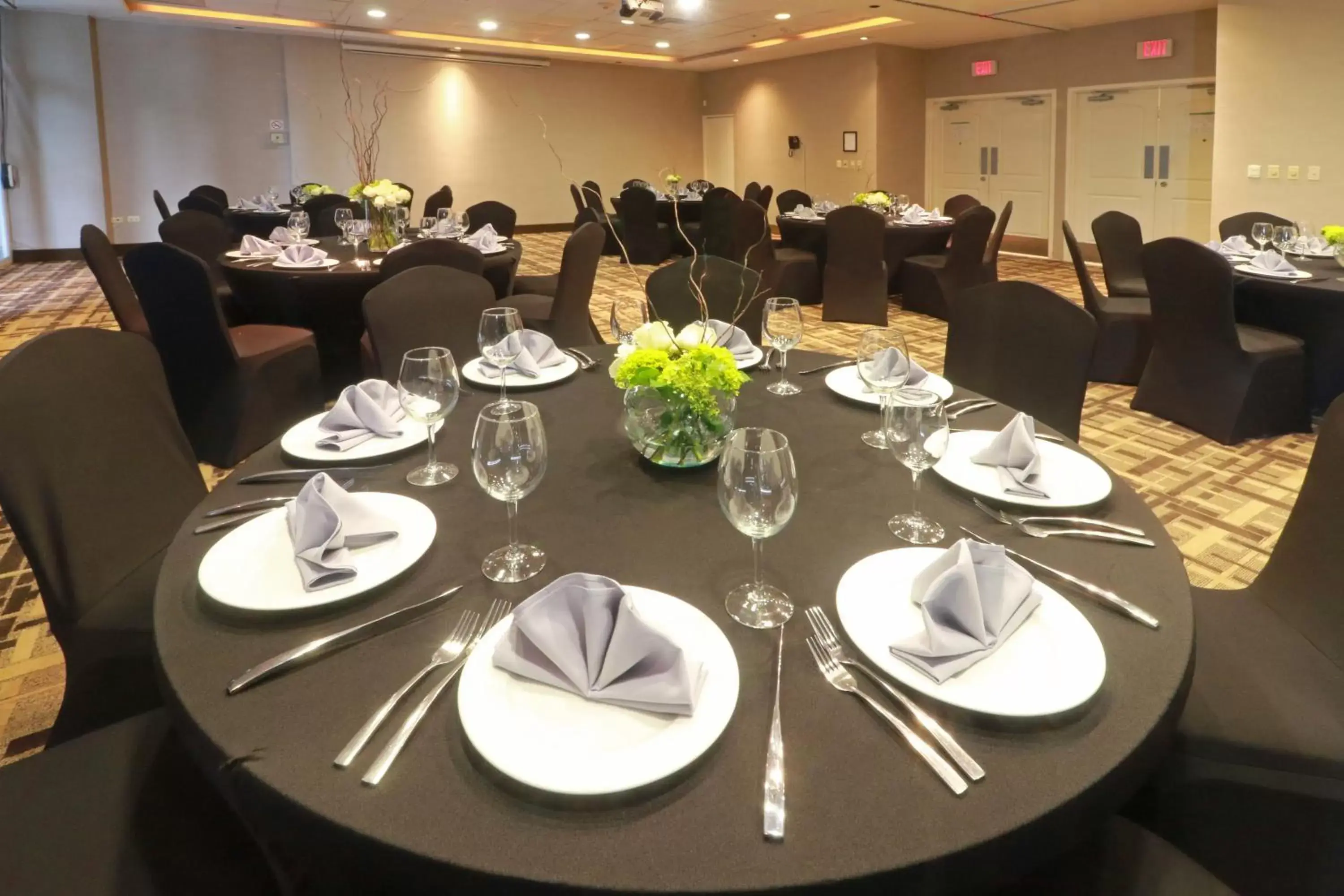 Banquet/Function facilities, Restaurant/Places to Eat in Holiday Inn Reynosa Industrial Poniente, an IHG Hotel
