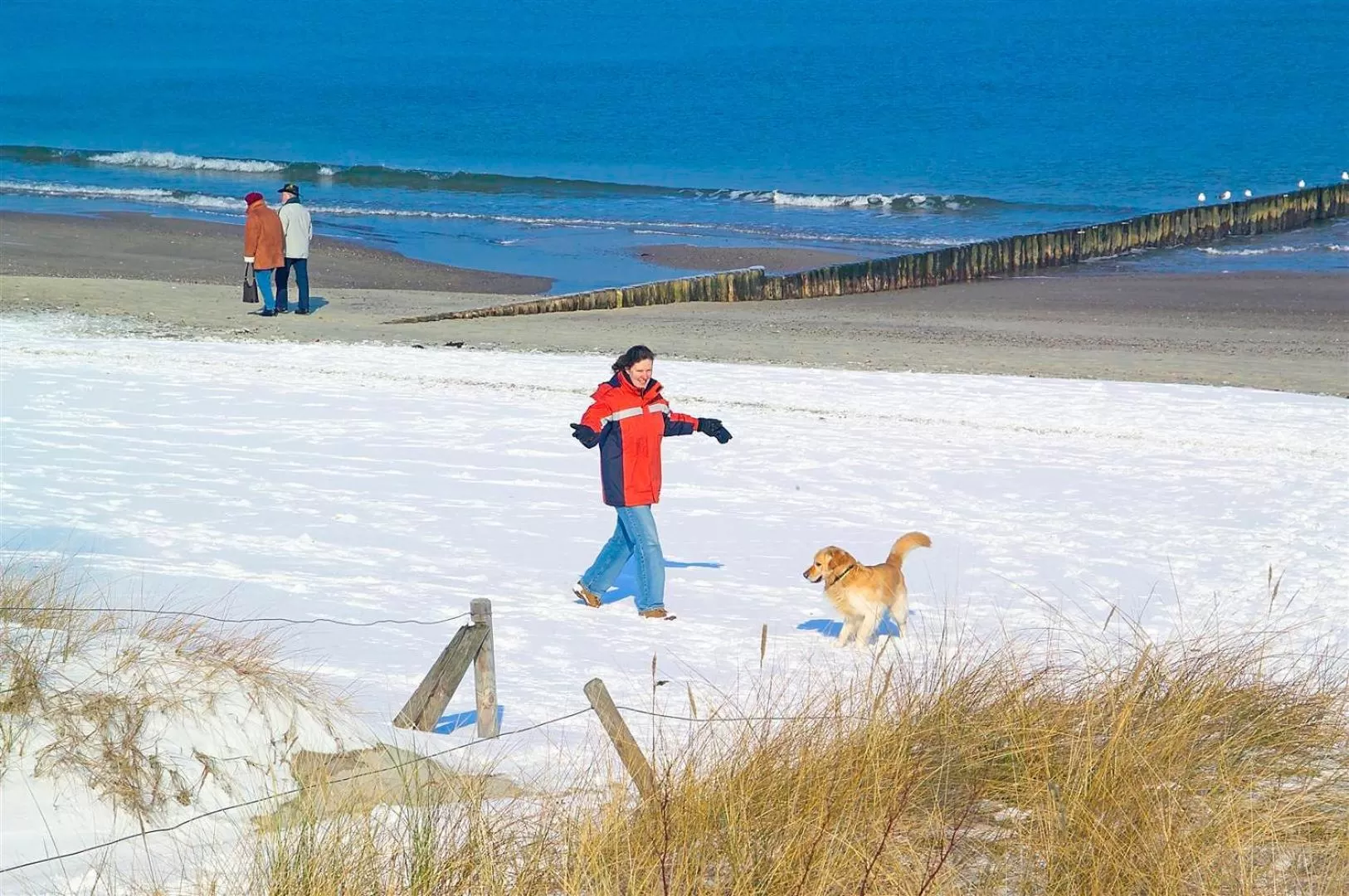 Area and facilities in Am Weststrand Aparthotel Kühlungsborn