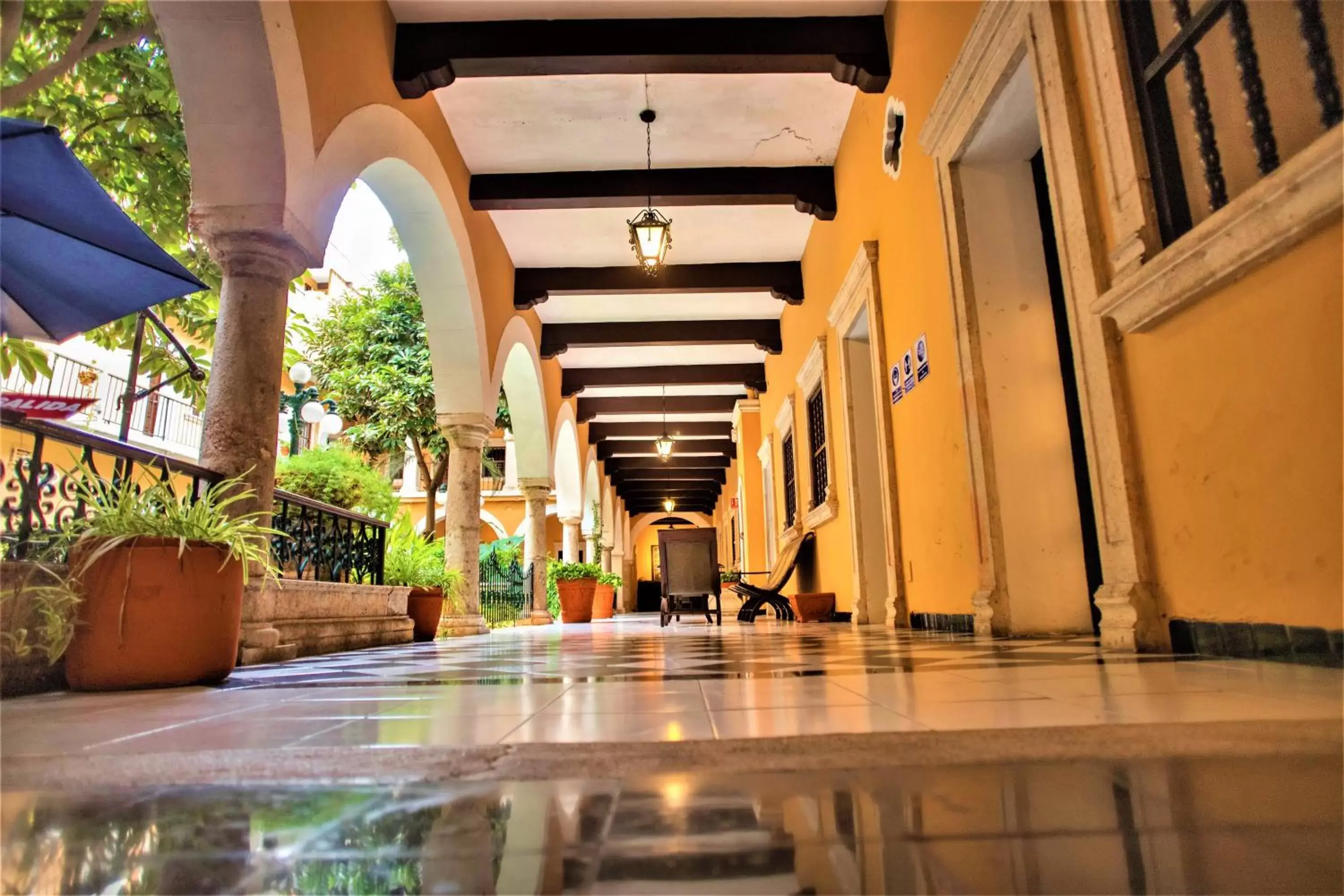 Decorative detail, Swimming Pool in Hotel Caribe Merida Yucatan