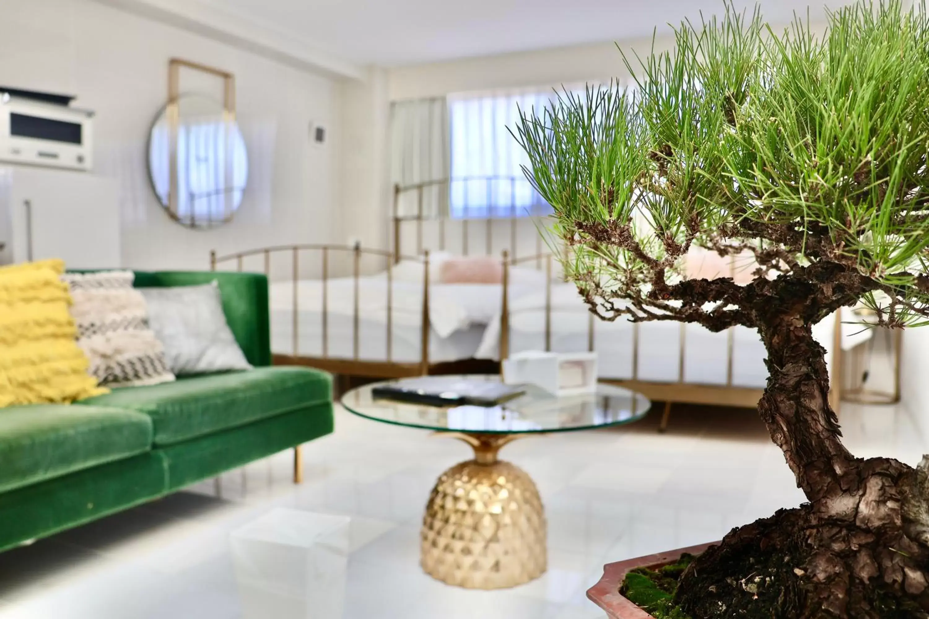 Living room, Seating Area in THE ROOT2 HOTEL