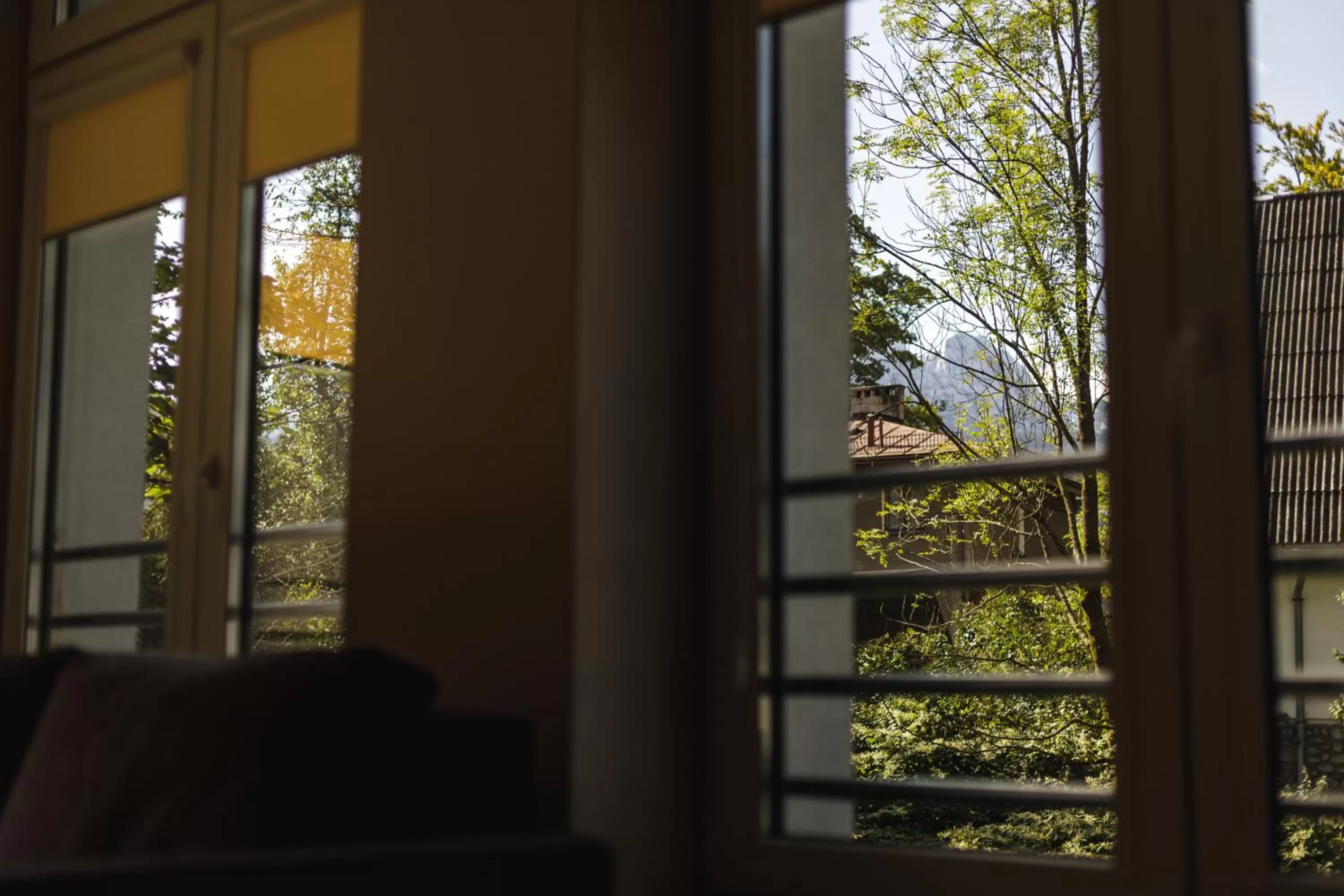 Garden view in Jagiellońska Residence