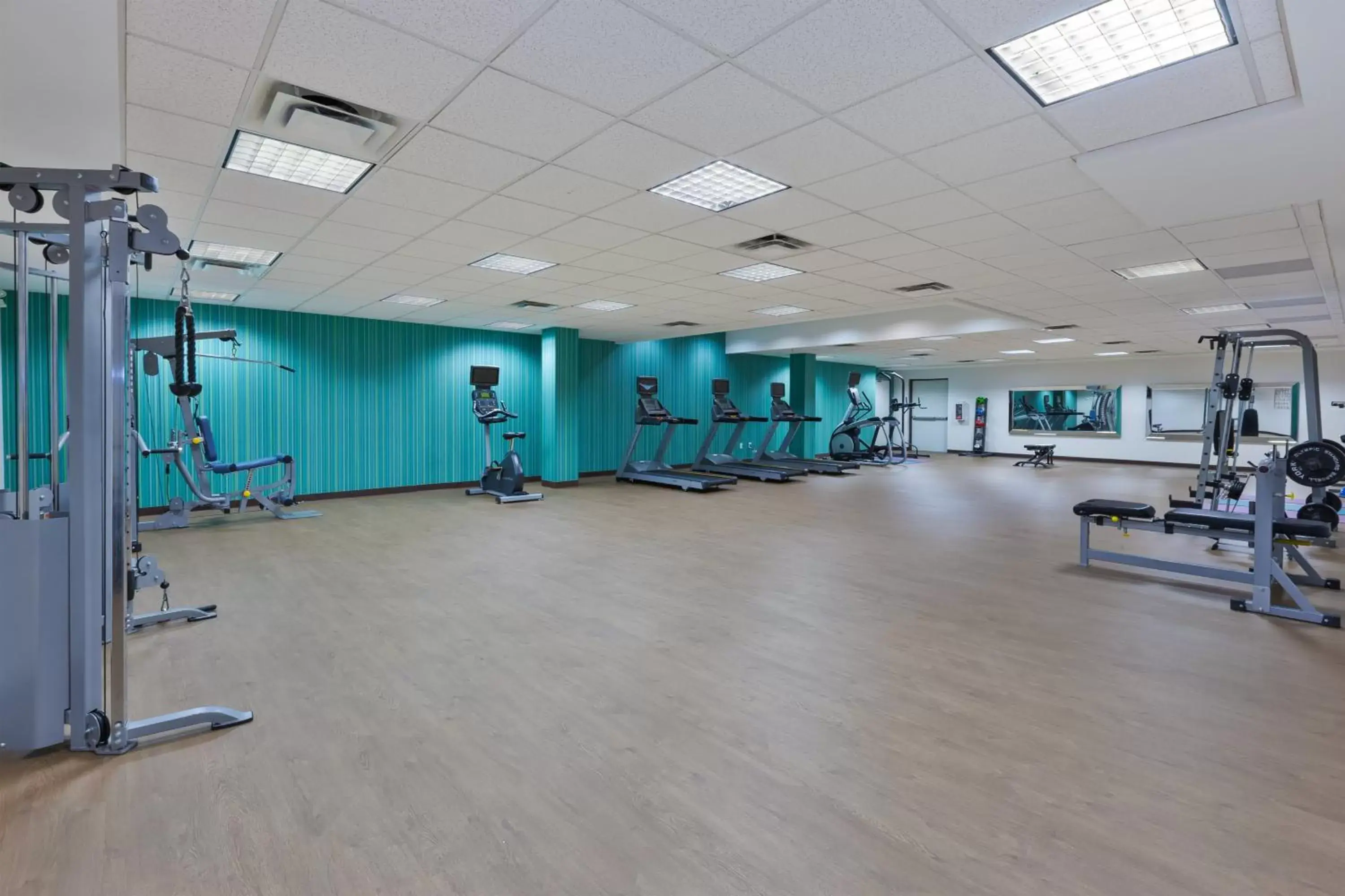 Fitness centre/facilities, Fitness Center/Facilities in Holiday Inn Express Winnipeg Airport - Polo Park, an IHG Hotel