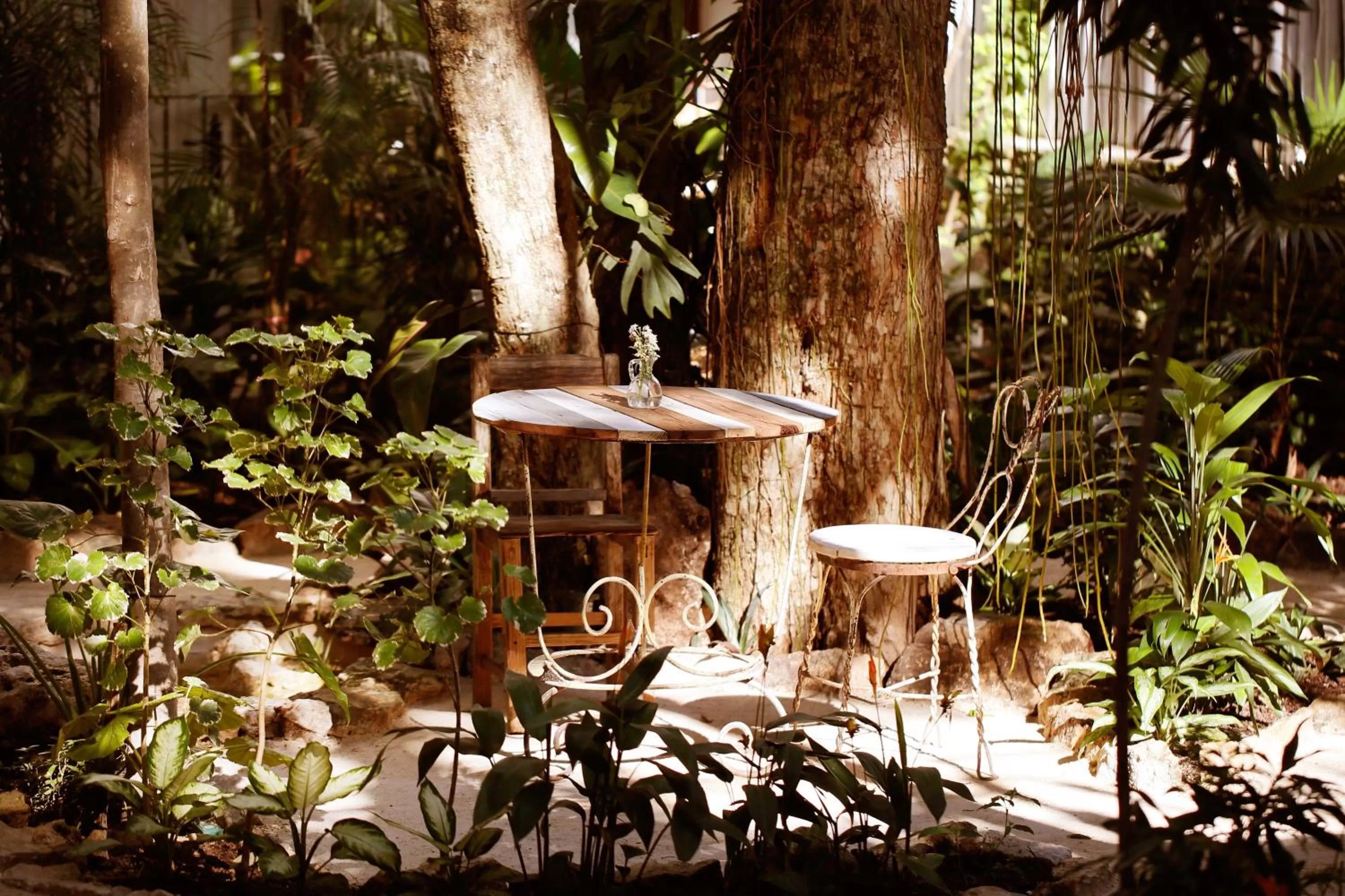 Patio in Hotel La Semilla a Member of Design Hotels