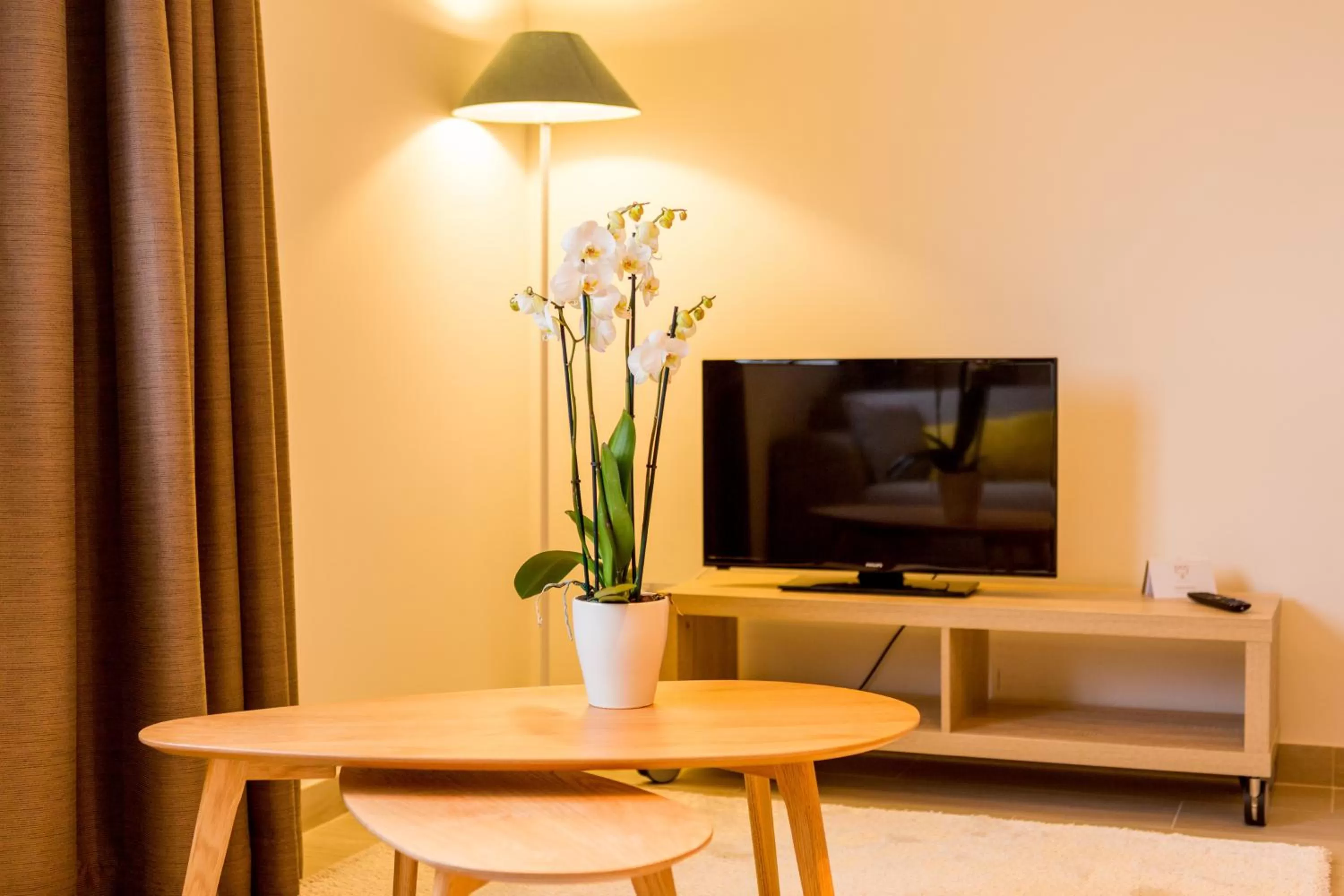 TV and multimedia in Tower Hotel Aalst