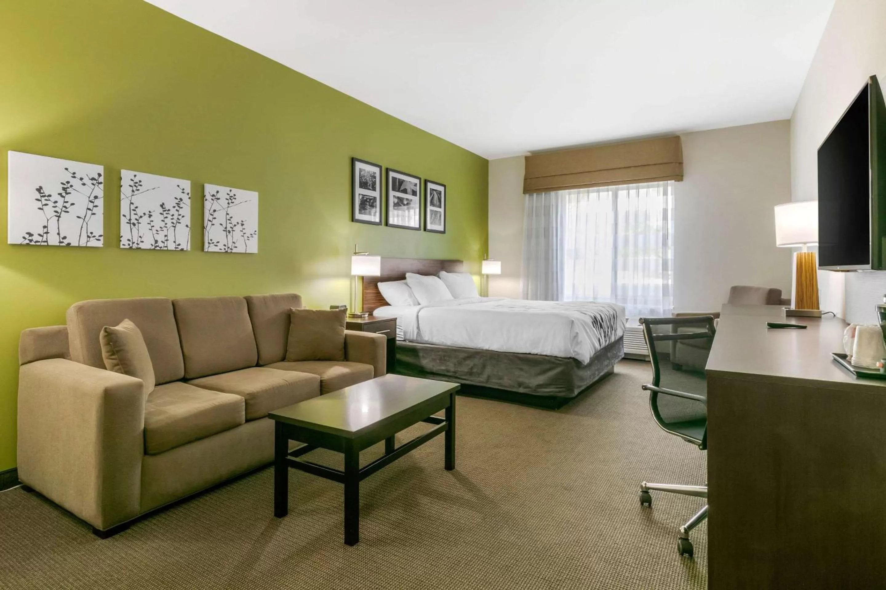 Photo of the whole room, Bed in Sleep Inn & Suites Columbia I-65