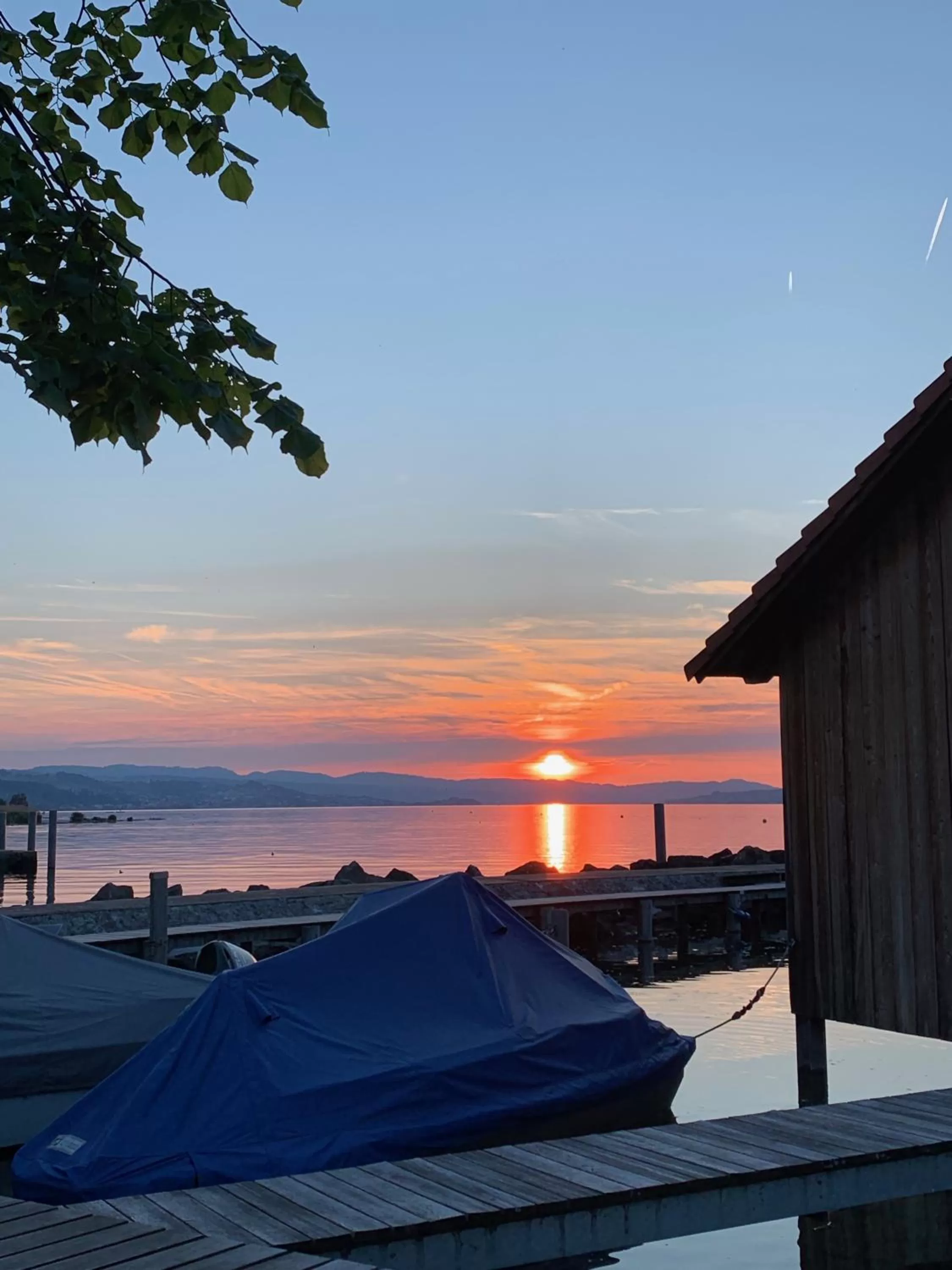 Restaurant/places to eat in Hotel Restaurant Schiff